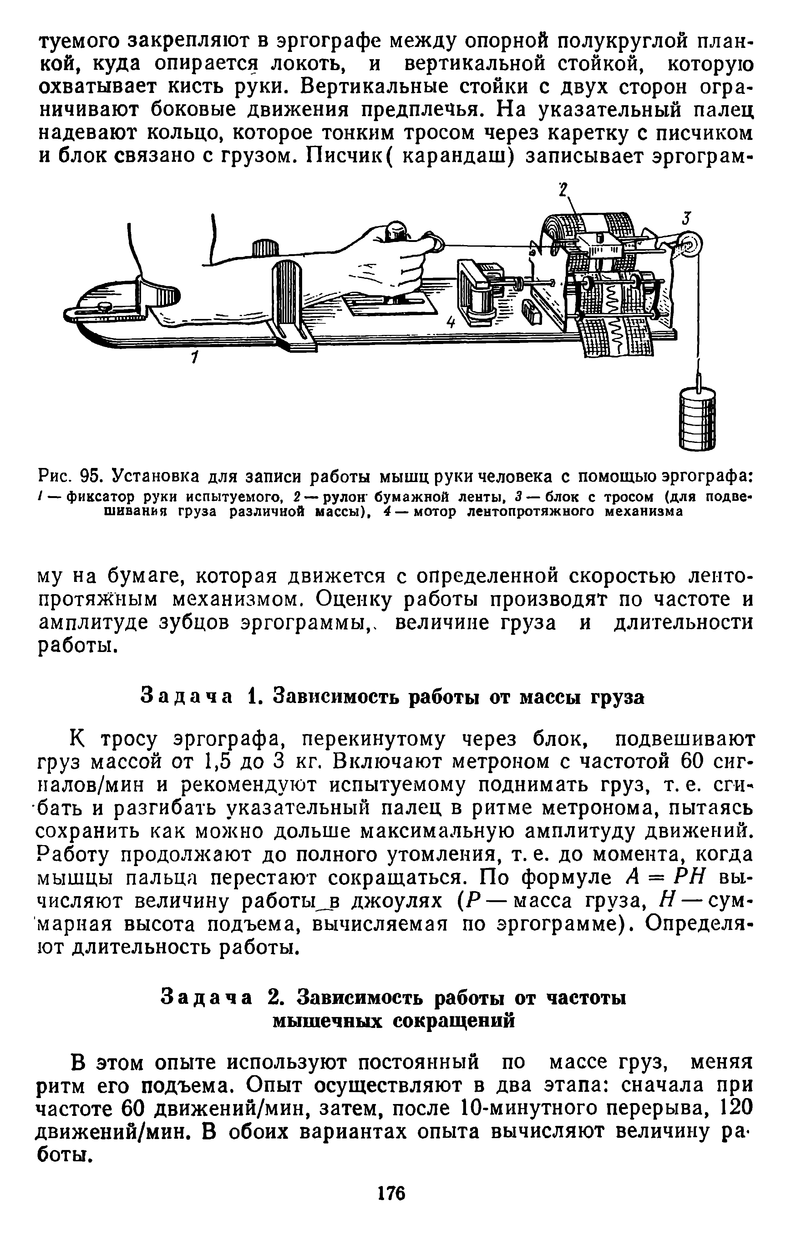 Рис. 95. Установка для записи работы мышц руки человека с помощью эргографа / — фиксатор руки испытуемого, 2 — рулон бумажной ленты, 3 —блок с тросом (для подвешивания груза различной массы), 4—мотор лентопротяжного механизма...