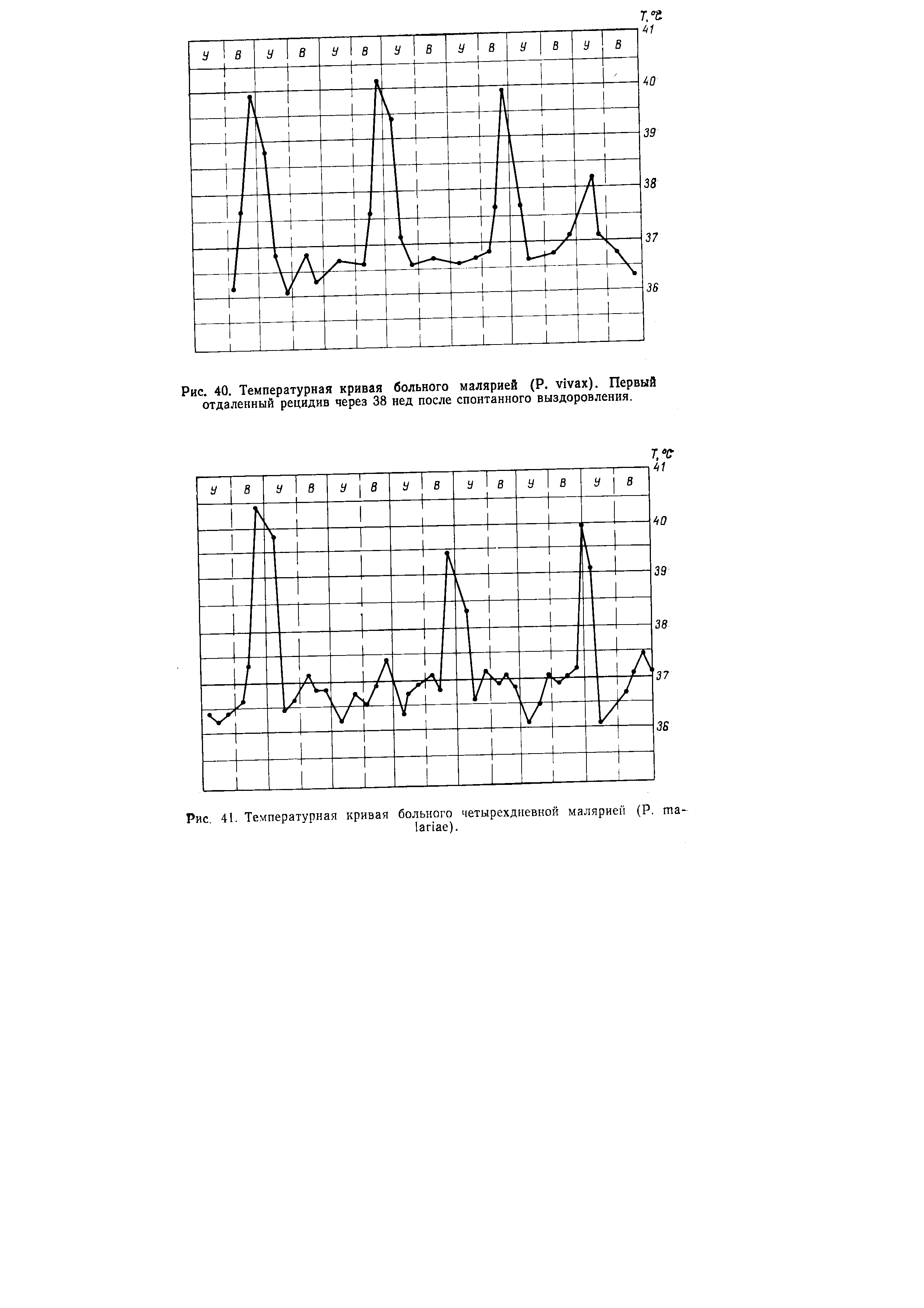 Рис. 40. Температурная кривая больного малярией (Р. у ах). Первый отдаленный рецидив через 38 нед после спонтанного выздоровления.