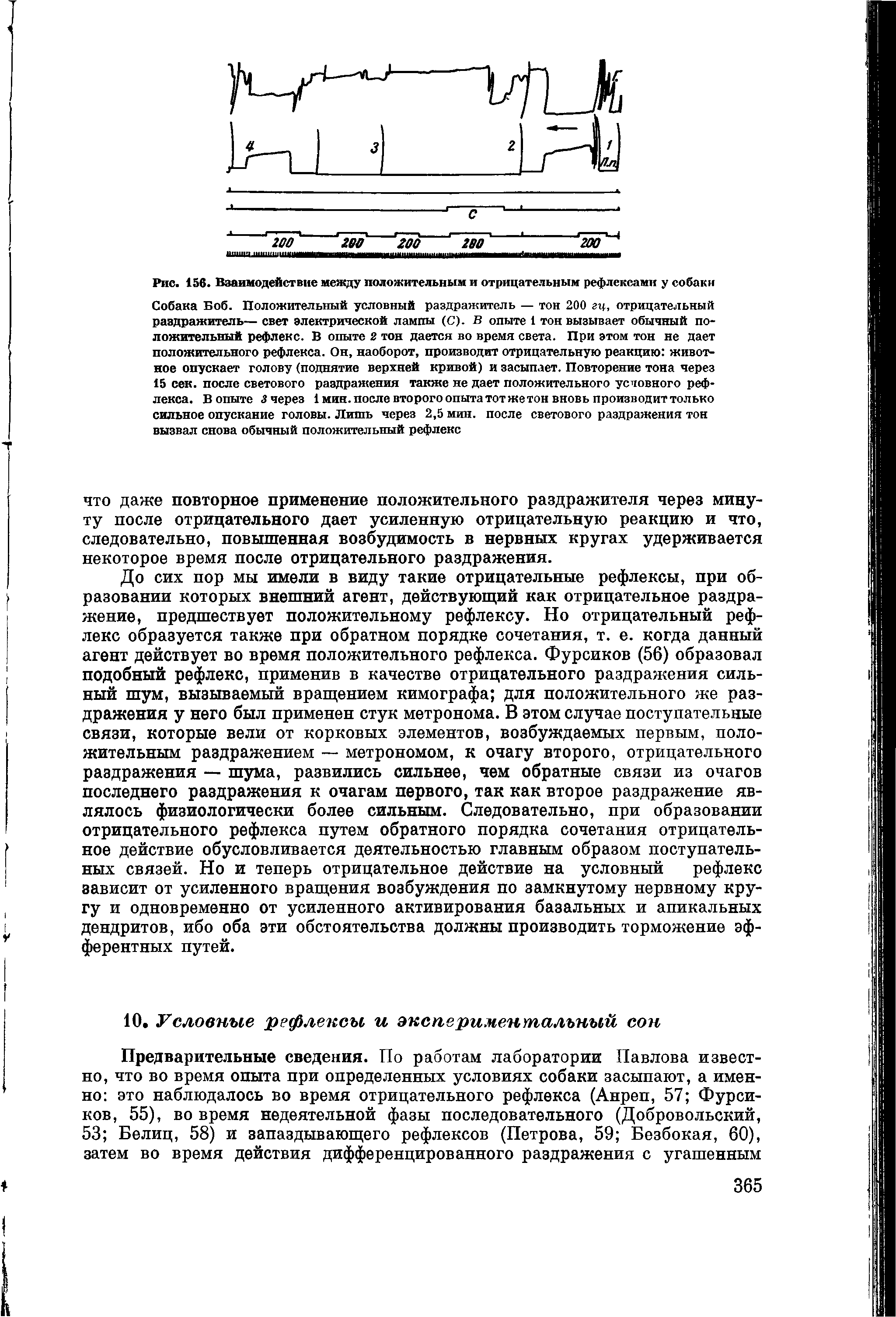 Рис. 156. Взаимодействие между положительным и отрицательным рефлексами у собаки...