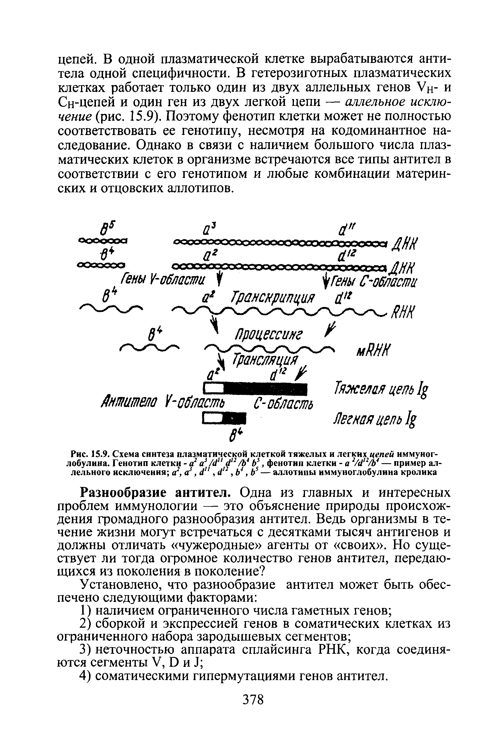 Рис. 15.9. Схема синтеза плазматической клеткой тяжелых и легких цепей иммуноглобулина. Генотип клетки - а2 а3 /й" <1 2 /Ь Ь3, фенотип клетки - а 2/й,2/Ь4 — пример аллельного исключения а2, а1,, й12, Ь4,Ь5 — аллотипы иммуноглобулина кролика...