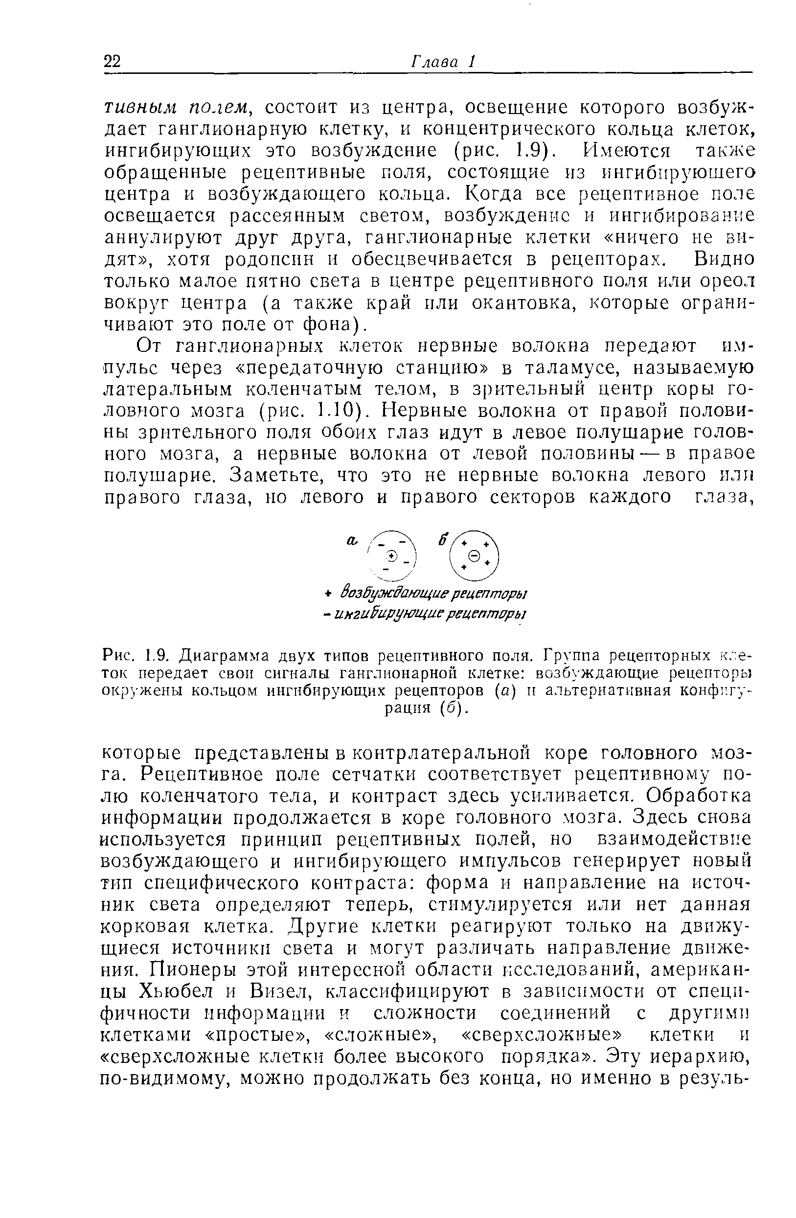 Рис. 1.9. Диаграмма двух типов рецептивного поля. Группа рецепторных клеток передает свои сигналы ганглионарной клетке возбуждающие рецепторы окружены кольцом ингибирующих рецепторов (а) п альтернативная конфигурация (б).