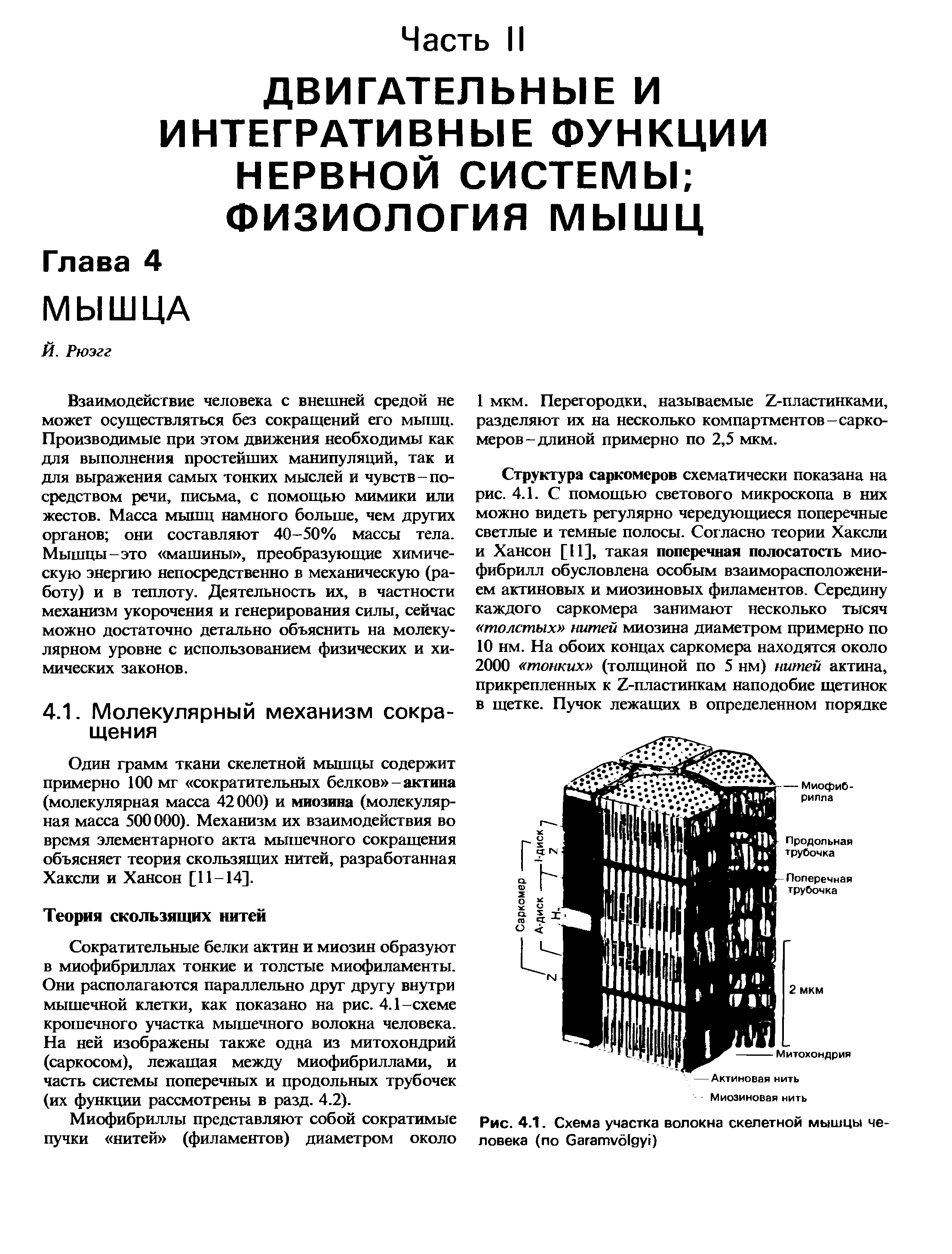 Рис. 4.1. Схема участка волокна скелетной мышцы человека (по Сагатуо1ду )...