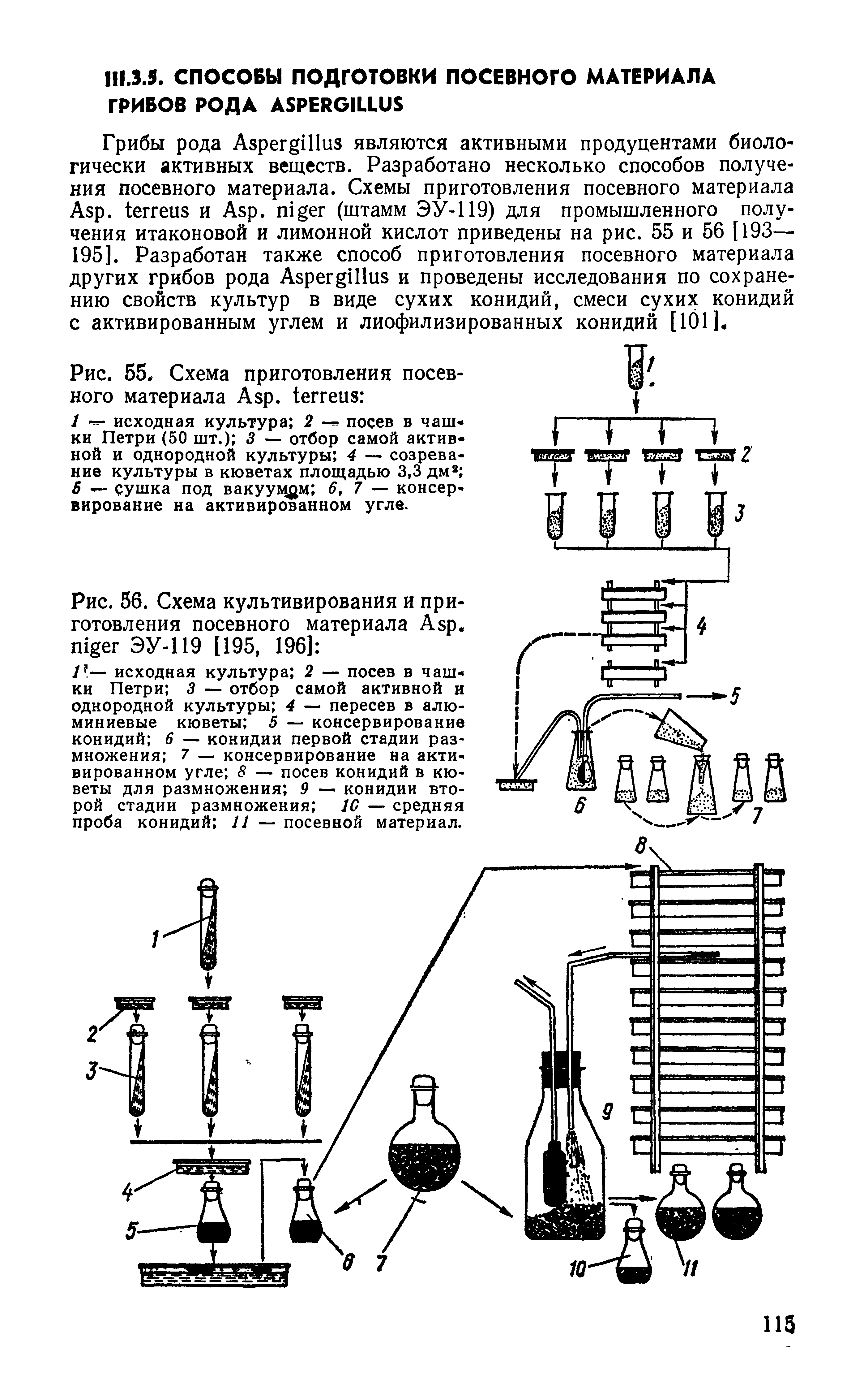 Рис. 56. Схема культивирования и приготовления посевного материала A . ЭУ-119 [195, 196] ...