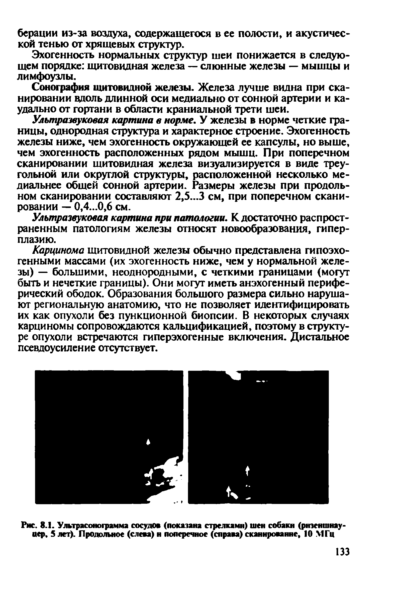 Рис. 8.1. Ультрасонограмма сосудов (показана стрелками) шен собаки (ризеншнауцер, 5 лет). Продольное (слева) и поперечное (справа) сканирование, 10 МГц...