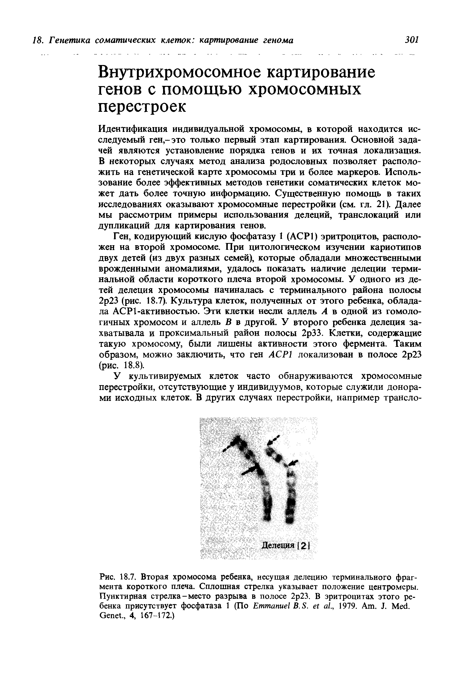 Рис. 18.7. Вторая хромосома ребенка, несущая делению терминального фрагмента короткого плеча. Сплошная стрелка указывает положение центромеры. Пунктирная стрелка-место разрыва в полосе 2р23. В эритроцитах этого ребенка присутствует фосфатаза 1 (По E В. S. ., 1979. A . J. M . G ., 4, 167-172.)...