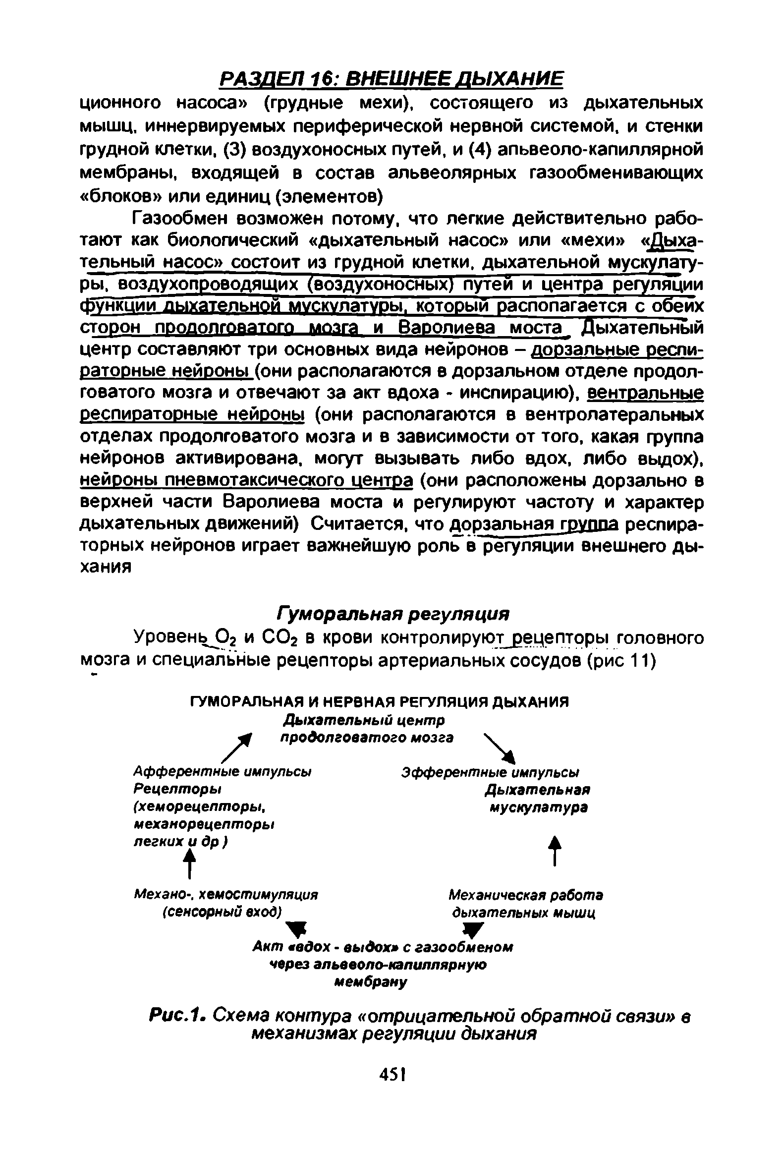 Рис.1. Схема контура отрицательной обратной связи в механизмах регуляции дыхания...