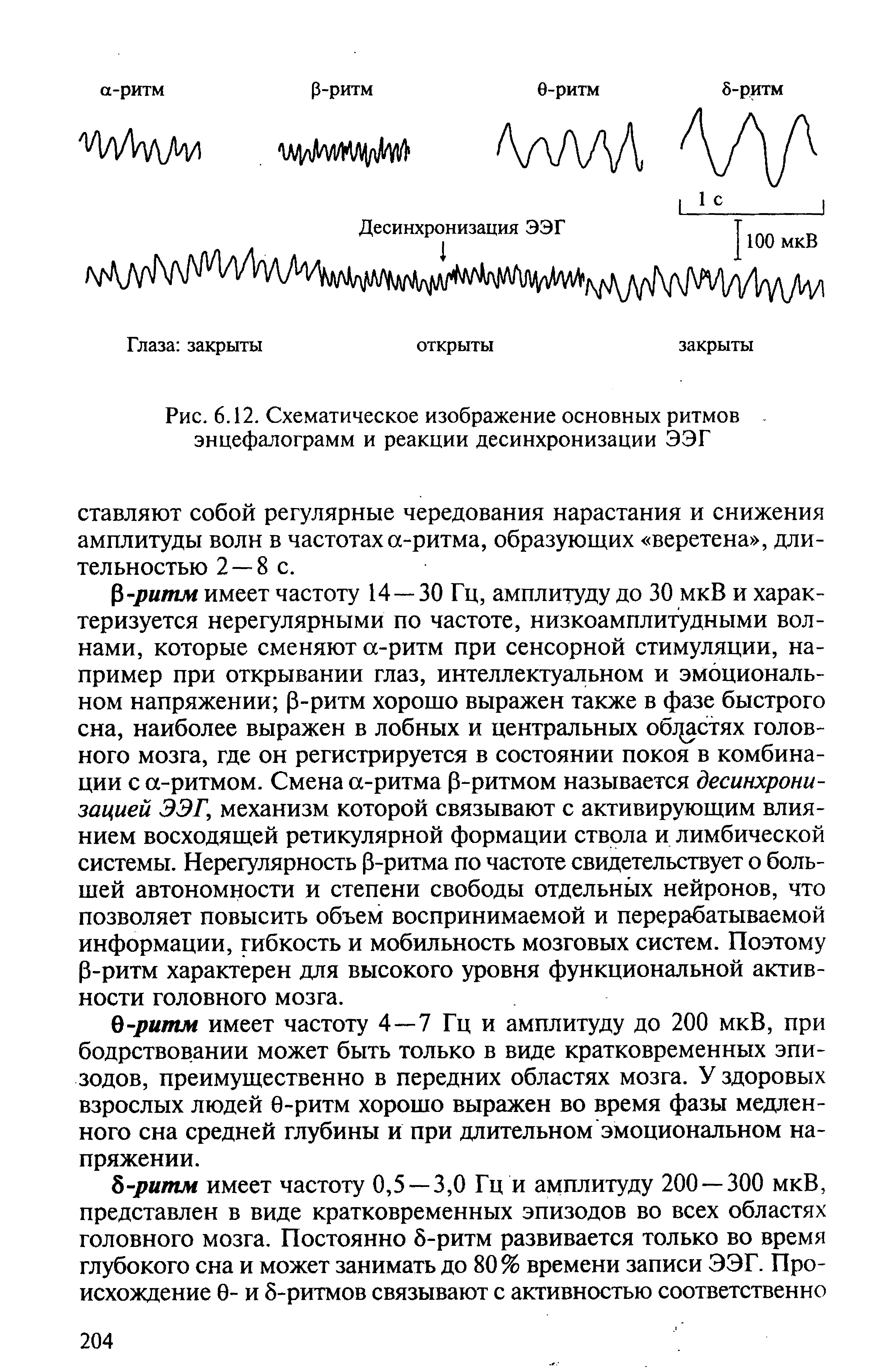 Рис. 6.12. Схематическое изображение основных ритмов энцефалограмм и реакции десинхронизации ЭЭГ...