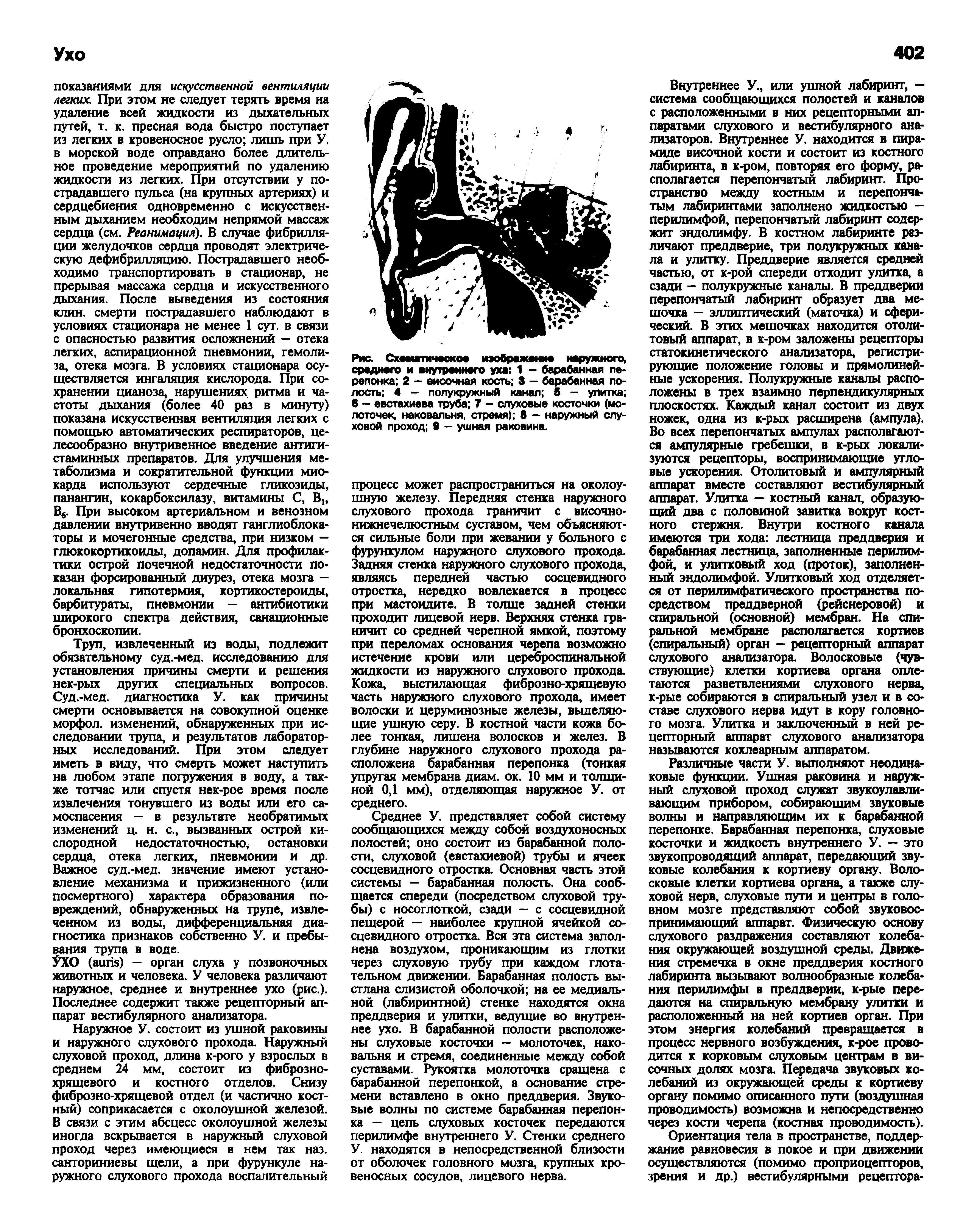 Рис. Схематическое изображение наружного, среднего и внутреннего уха 1 - барабанная перепонка 2 — височная кость 3 — барабанная полость 4 - полукружный канал 5 - улитка 6 - евстахиева труба 7 - слуховые косточки (молоточек, наковальня, стремя) 8 — наружный слуховой проход 9 - ушная раковина.