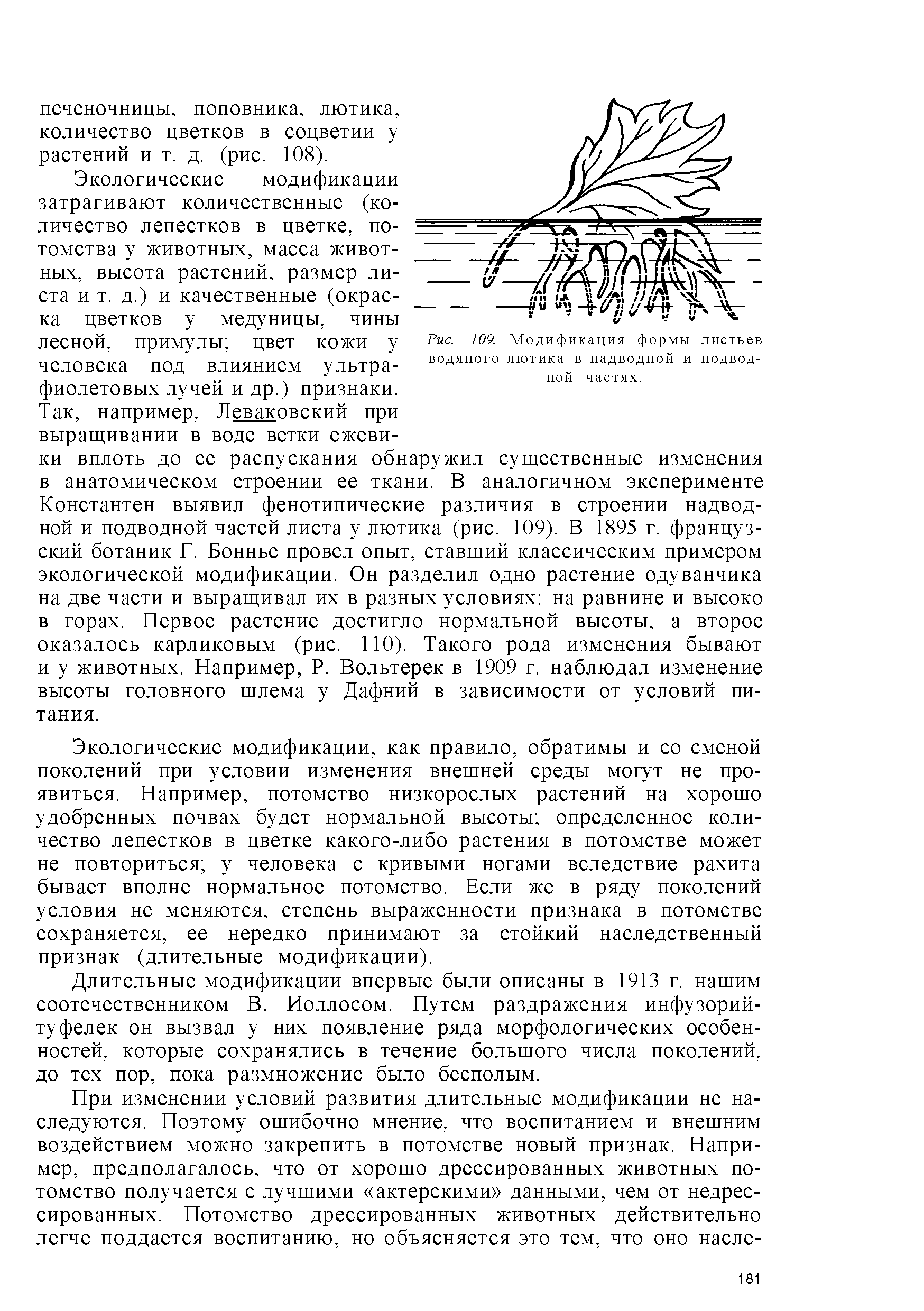 Рис. 109. Модификация формы листьев водяного лютика в надводной и подводной частях.