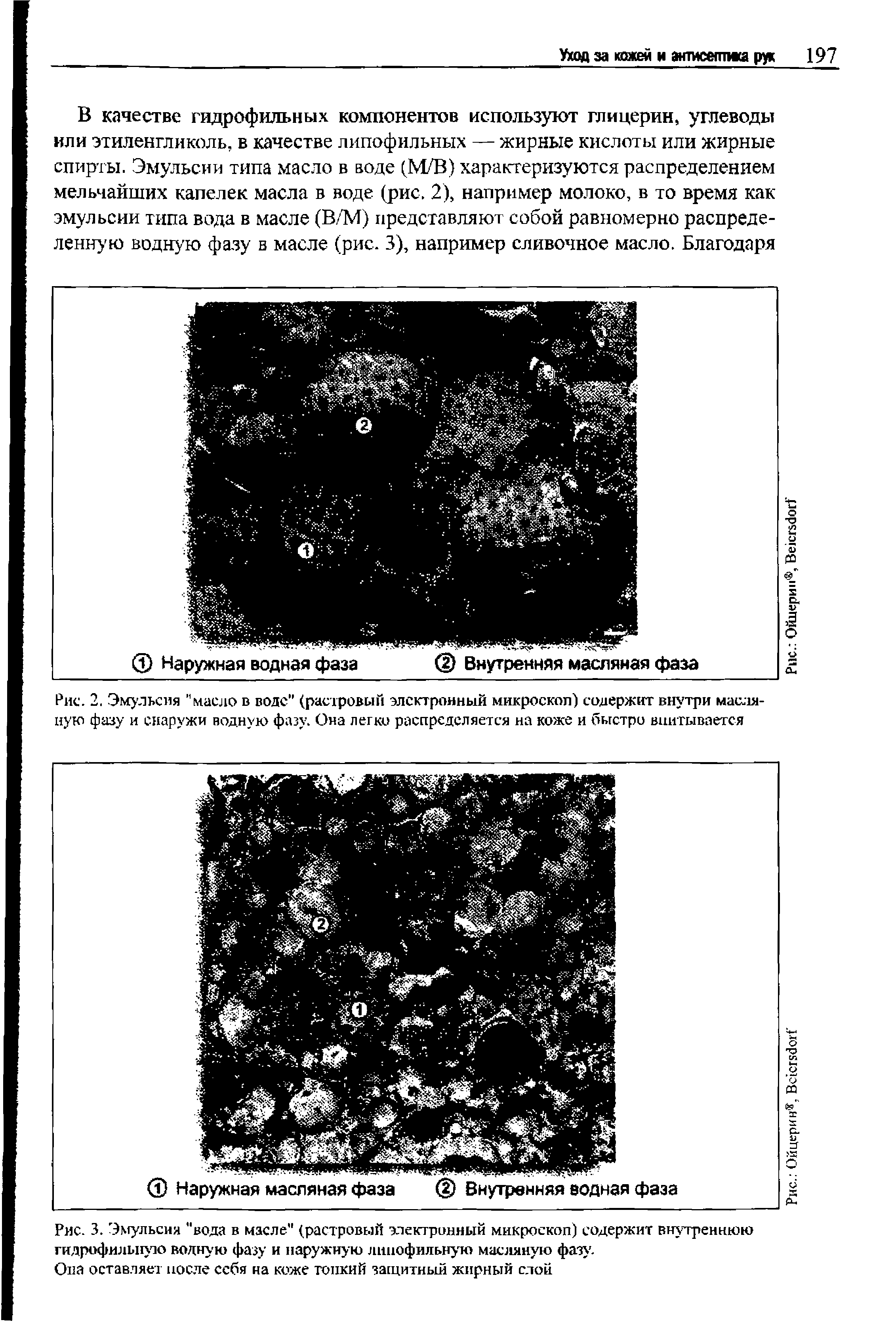 Рис. 3. Эмульсия "вода в масле" (растровый электронный микроскоп) содержит внутреннюю гидрофильную водную фазу и наружную липофильную масляную фазу. ...