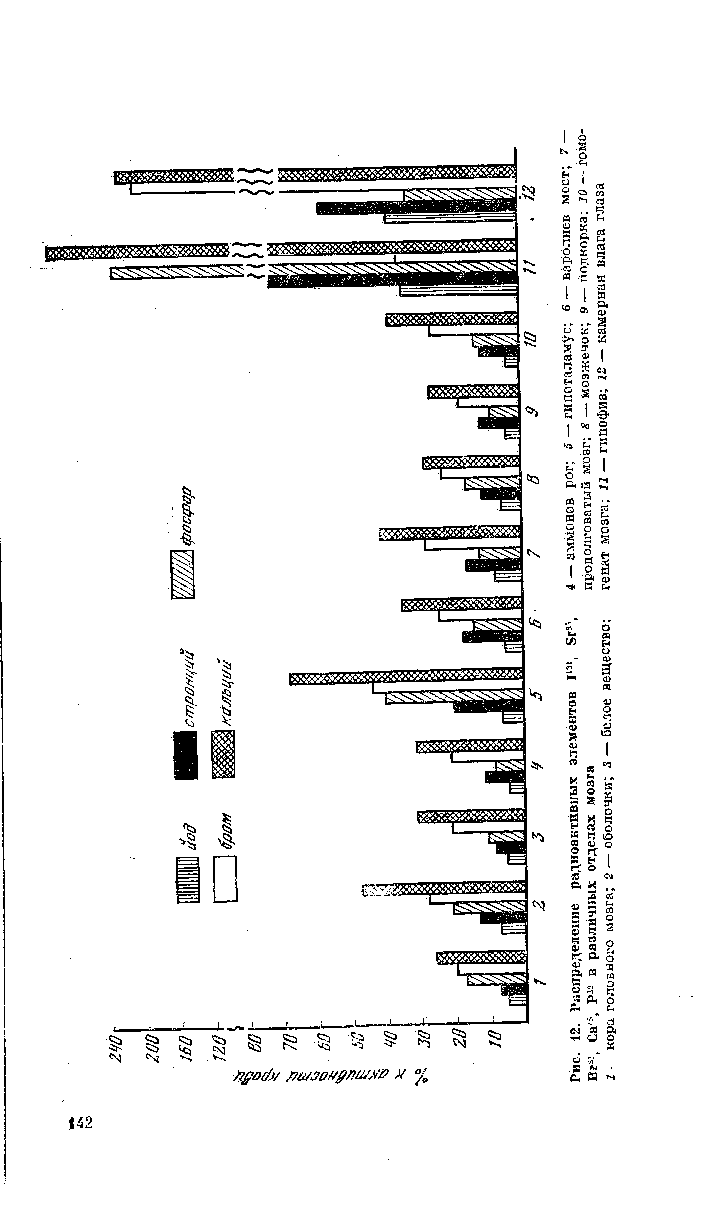 Рис. 12. Распределение радиоактивных элементов I13 , Бг95, Вт33, Са45, Р32 в различных отделах мозга...