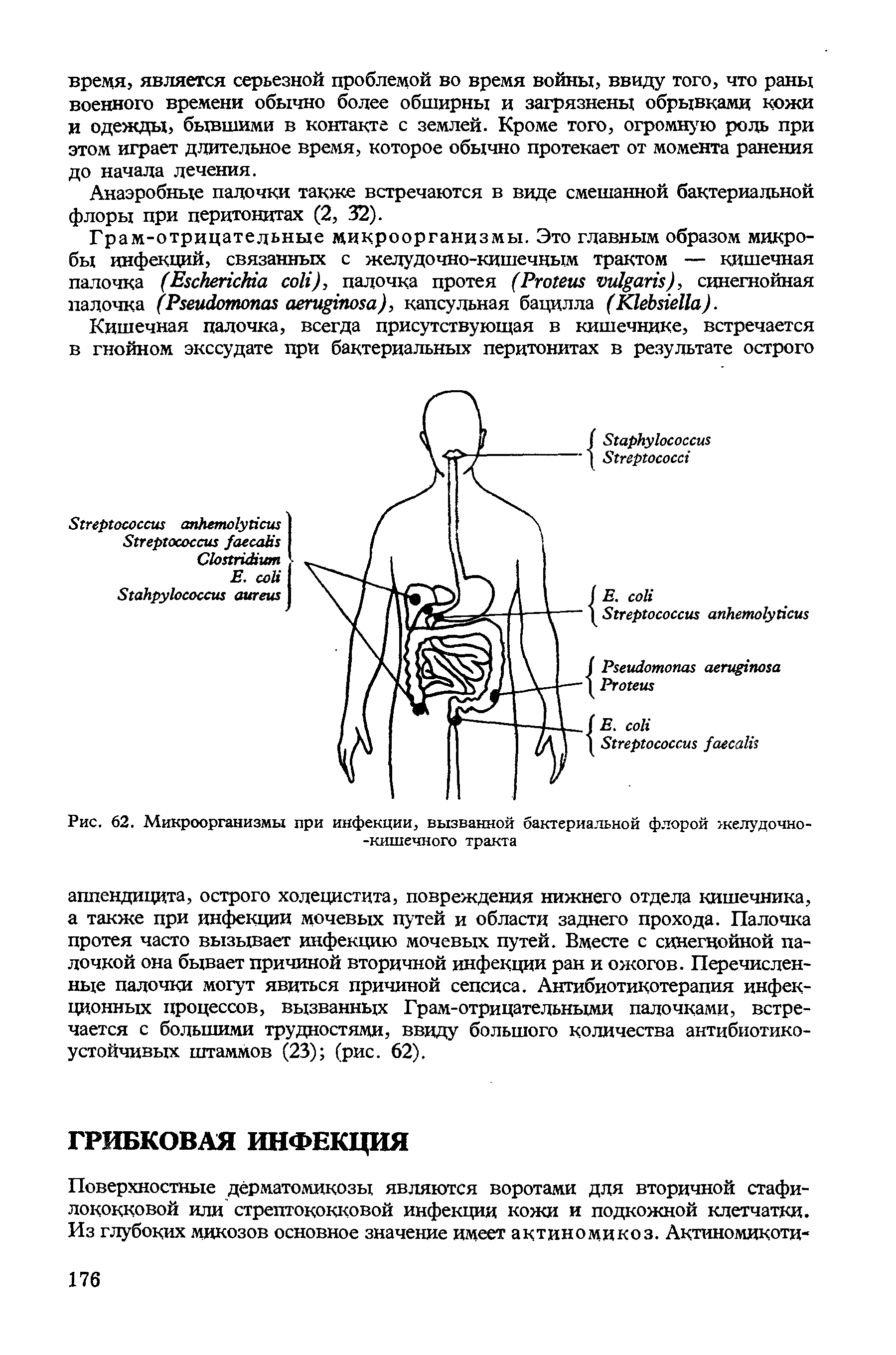 Рис. 62. Микроорганизмы при инфекции, вызванной бактериальной флорой желудочно--кишечного тракта...