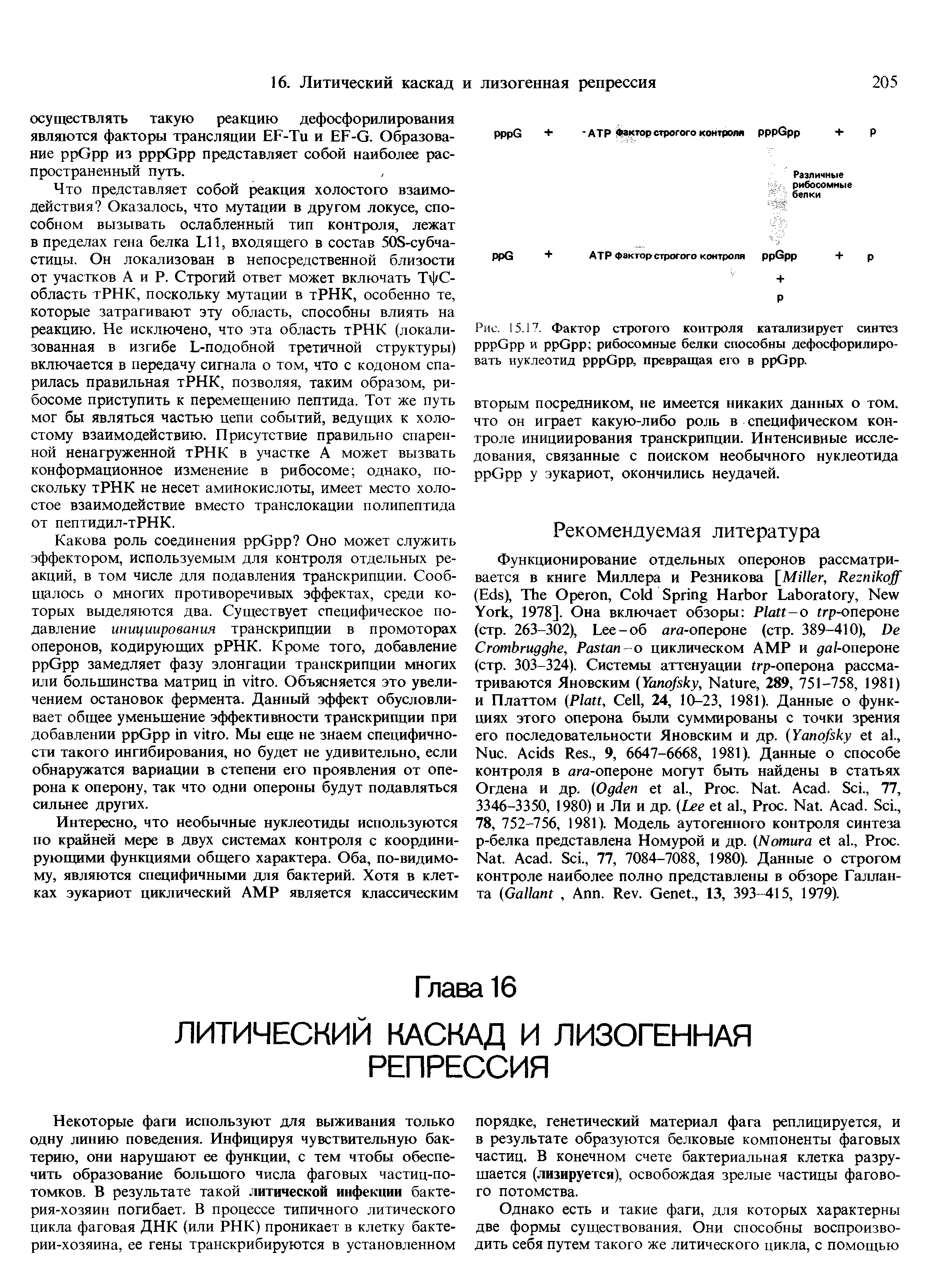 Рис. 15.17. Фактор строгого контроля катализирует синтез G и G рибосомные белки способны дефосфорилиро-вать нуклеотид G , превращая его в G .