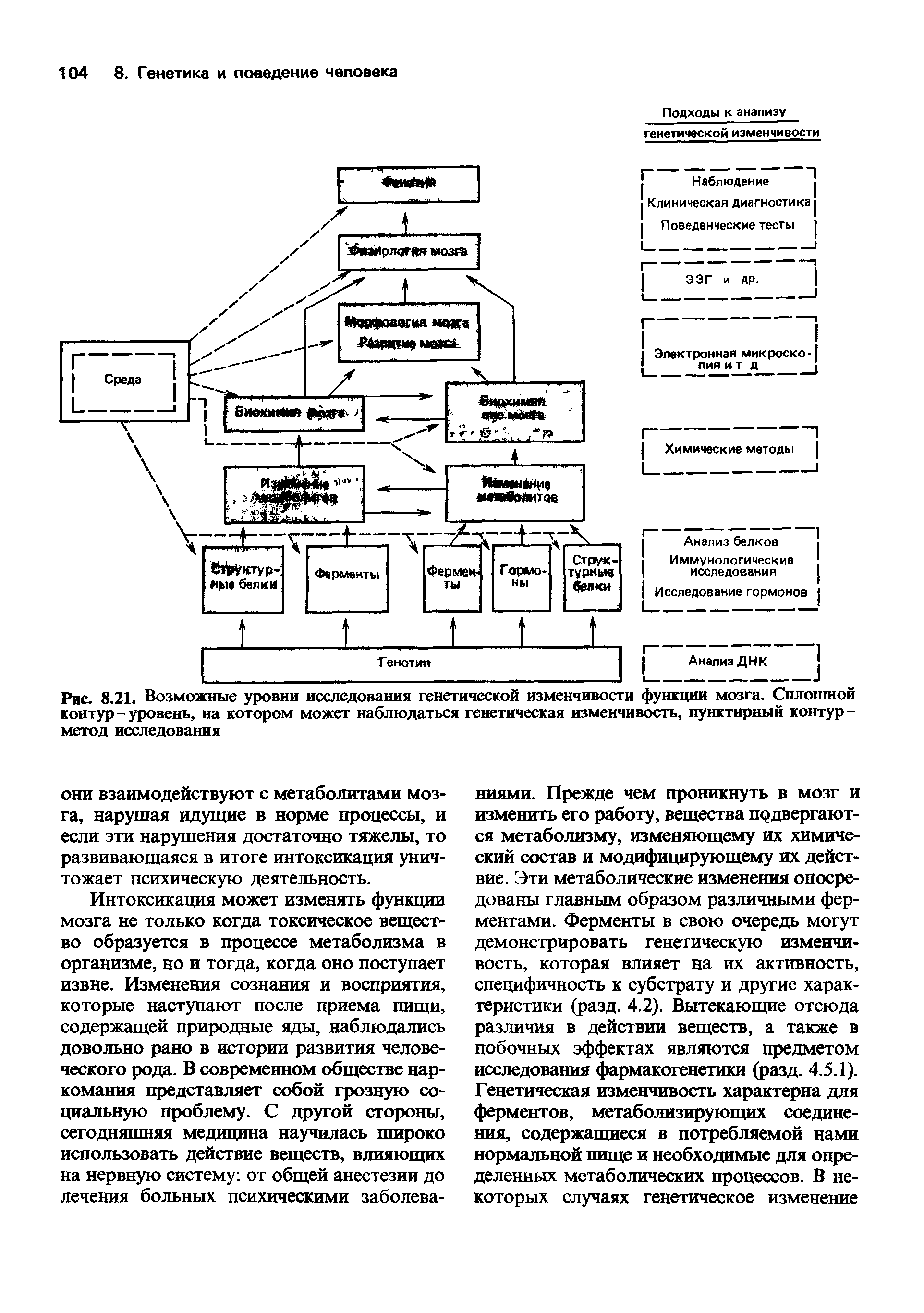 Рис. 8.21. Возможные уровни исследования генетической изменчивости функции мозга. Сплошной контур-уровень, на котором может наблюдаться генетическая изменчивость, пунктирный контур-метод исследования...