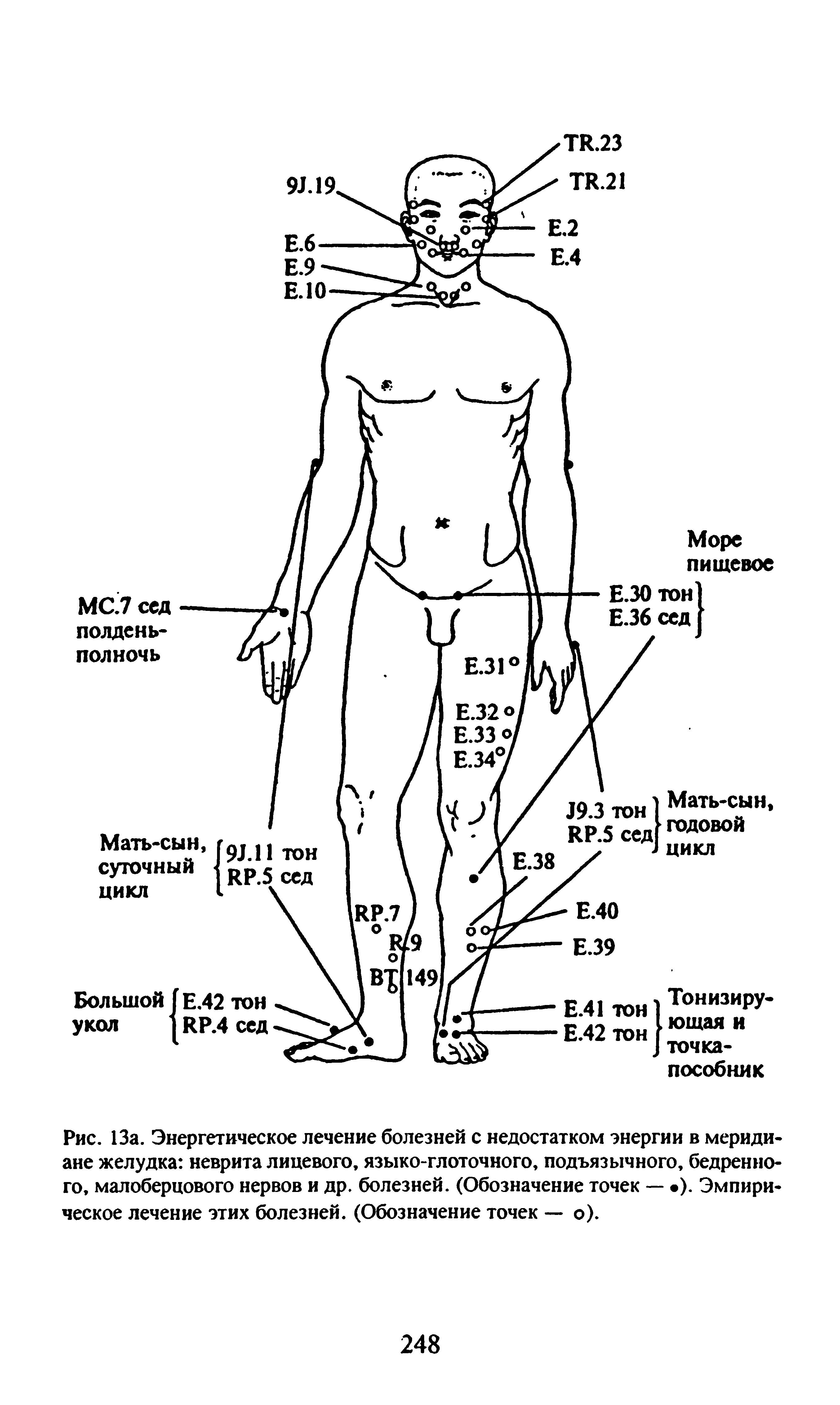 Рис. 13а. Энергетическое лечение болезней с недостатком энергии в меридиане желудка неврита лицевого, языко-глоточного, подъязычного, бедренного, малоберцового нервов и др. болезней. (Обозначение точек — ). Эмпирическое лечение этих болезней. (Обозначение точек — о).