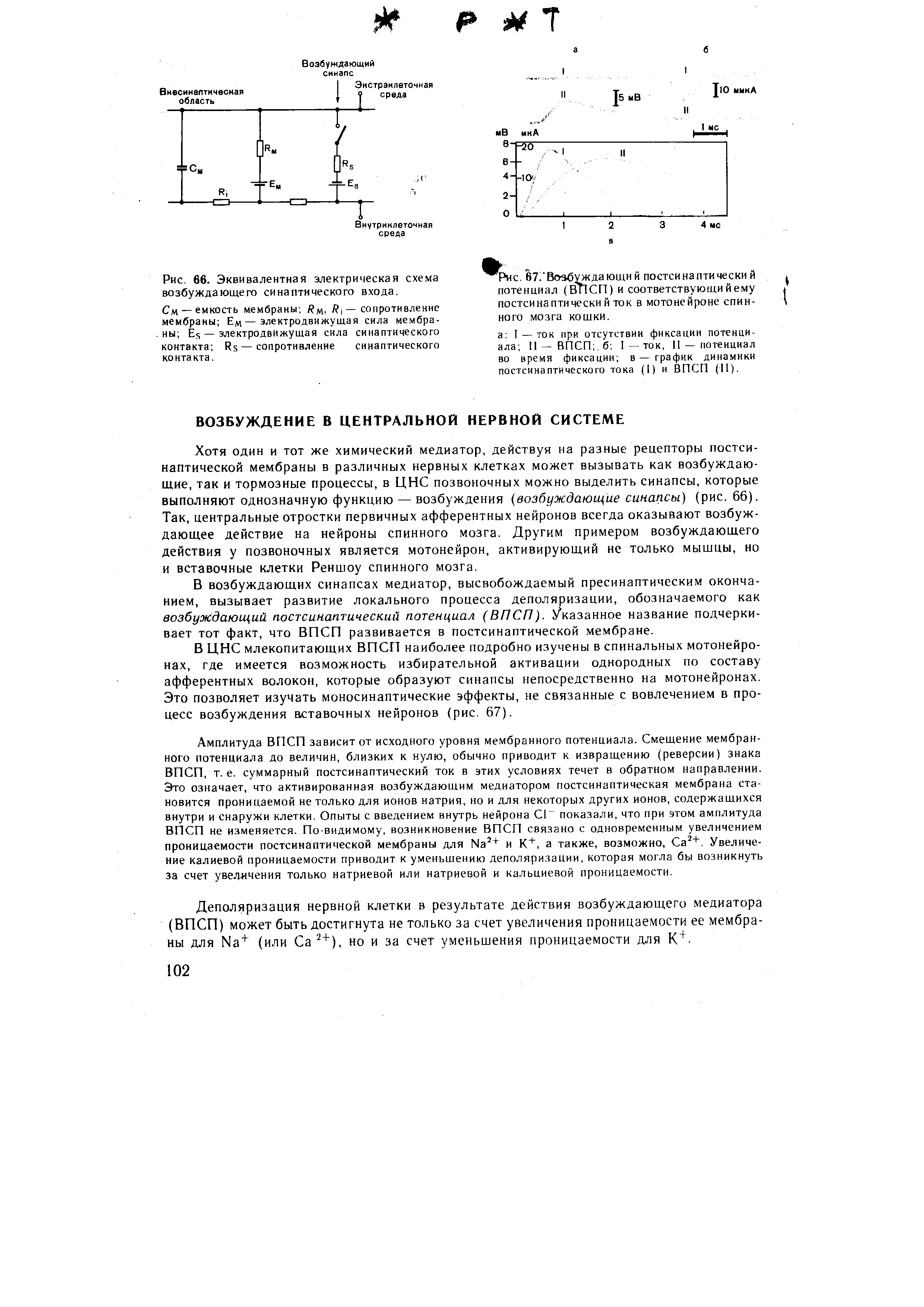 Рис. 67/Возбуждающи й постсинаптически и потенциал (ВПСП) и соответствующи йему постсинаптически й ток в мотонейроне спинного мозга кошки.