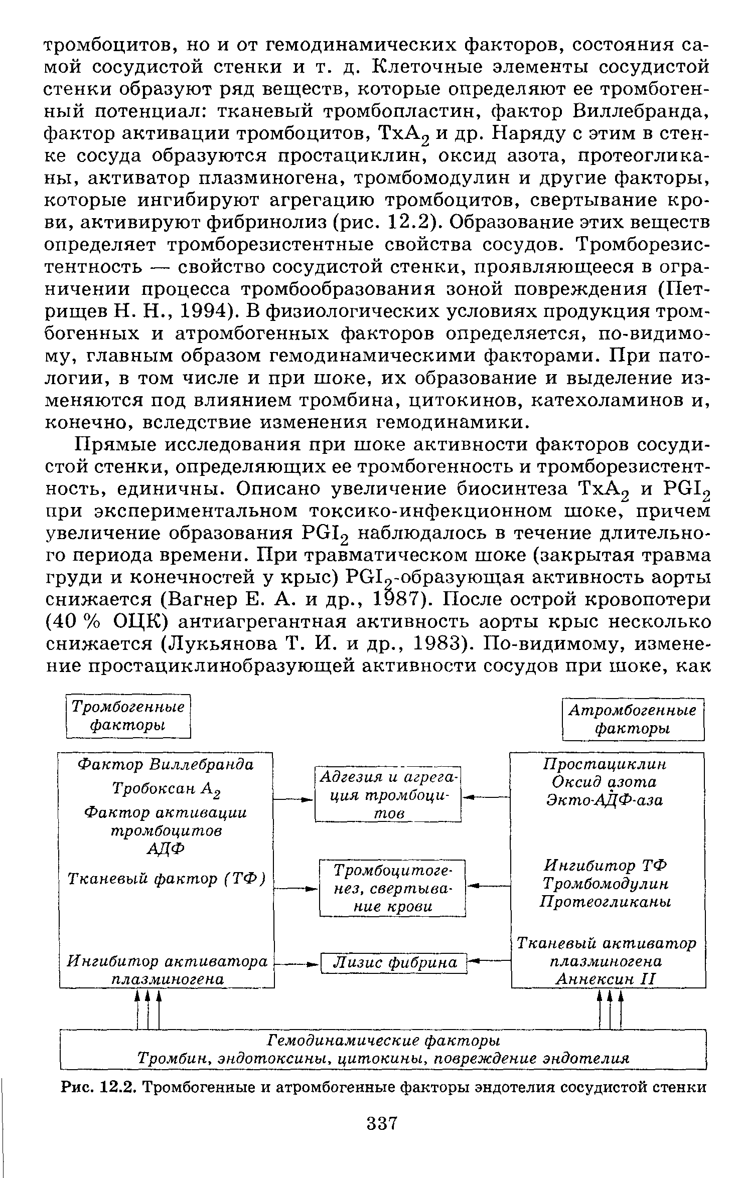 Рис. 12.2. Тромбогенные и атромбогенные факторы эндотелия сосудистой стенки...