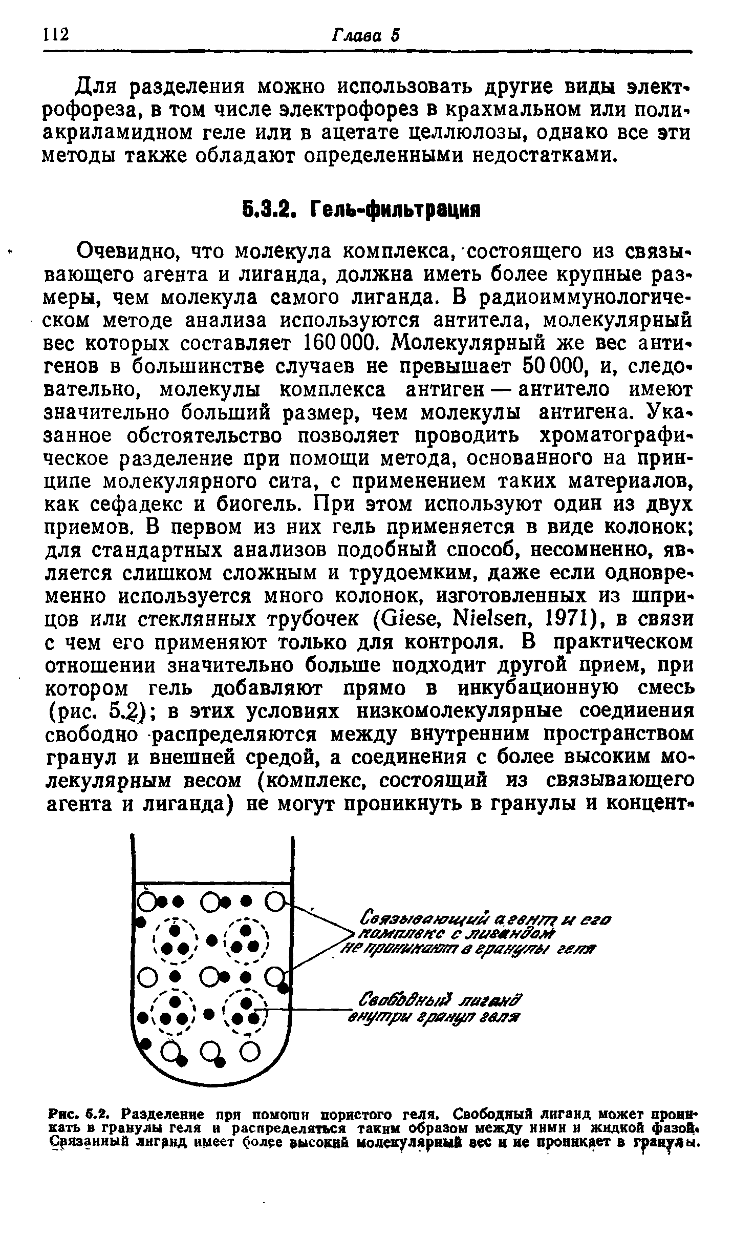 Рис. 6.2. Разделение при помогай пористого геля. Свободный лигаид может проникать в гранулы геля и распределяться таким образом между ними и жидкой фазой. Связанный лигрнд имеет более высокий молекулярный вес и не проннкдет в гранулы.