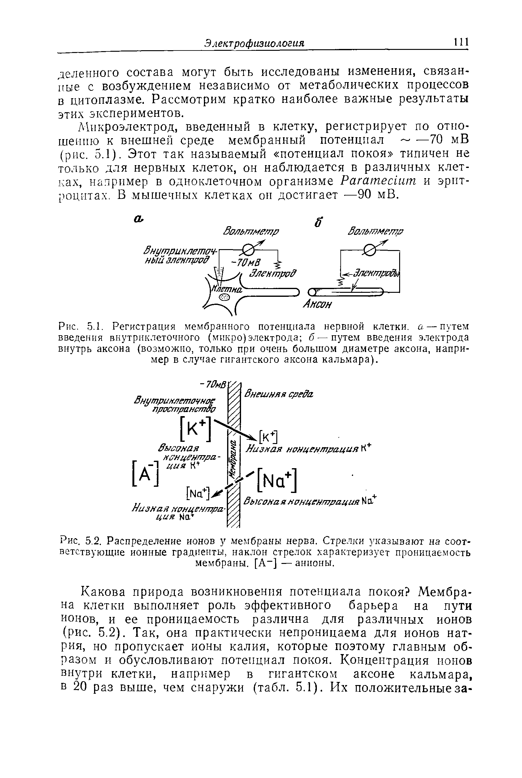 Рис. 5.1. Регистрация мембранного потенциала нервной клетки, а — путем введения внутриклеточного (микро)электрода б—путем введения электрода внутрь аксона (возможно, только при очень большом диаметре аксона, например в случае гигантского аксона кальмара).
