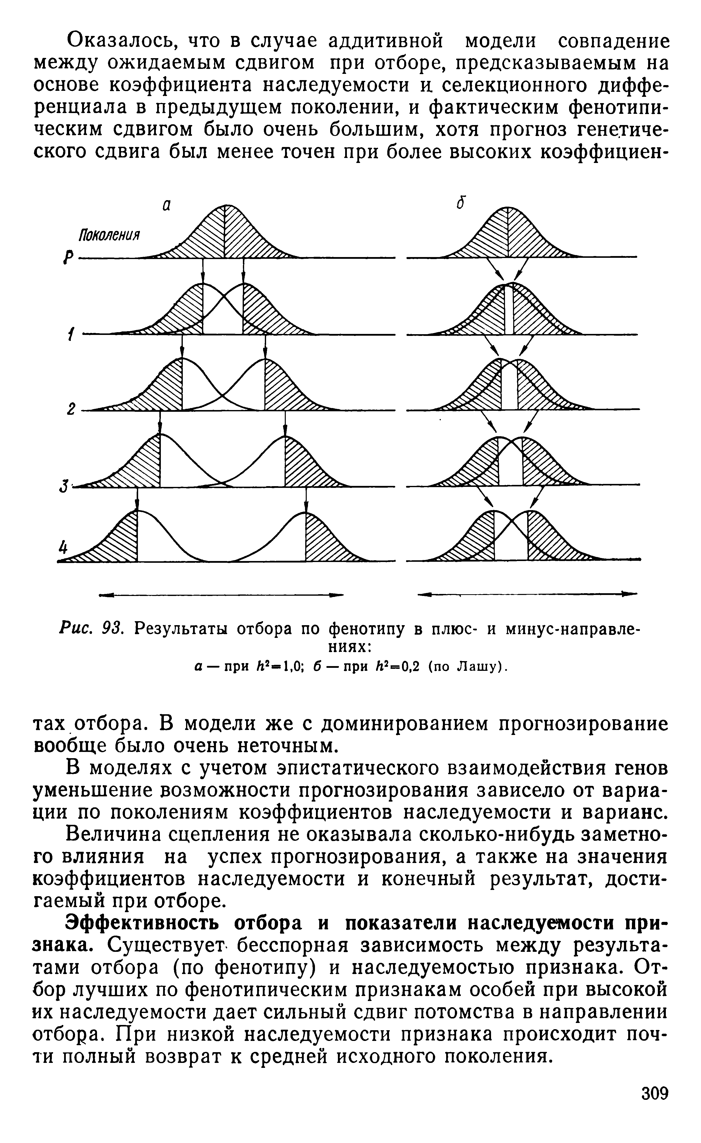 Рис. 93. Результаты отбора по фенотипу в плюс- и минус-направле-ниях ...