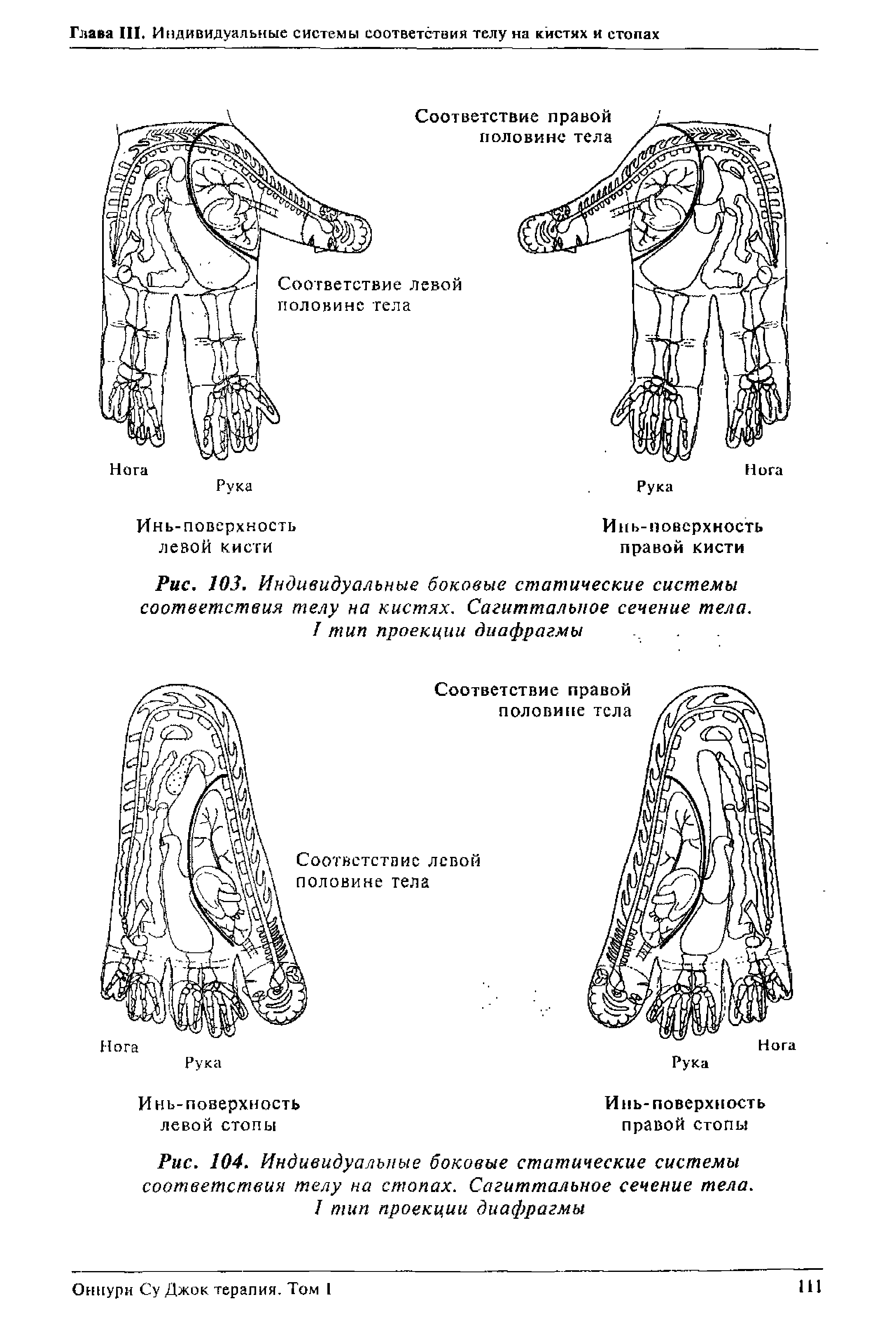 Рис. 103. Индивидуальные боковые статические системы соответствия телу на кистях. Сагиттальное сечение тела. I тип проекции диафрагмы...