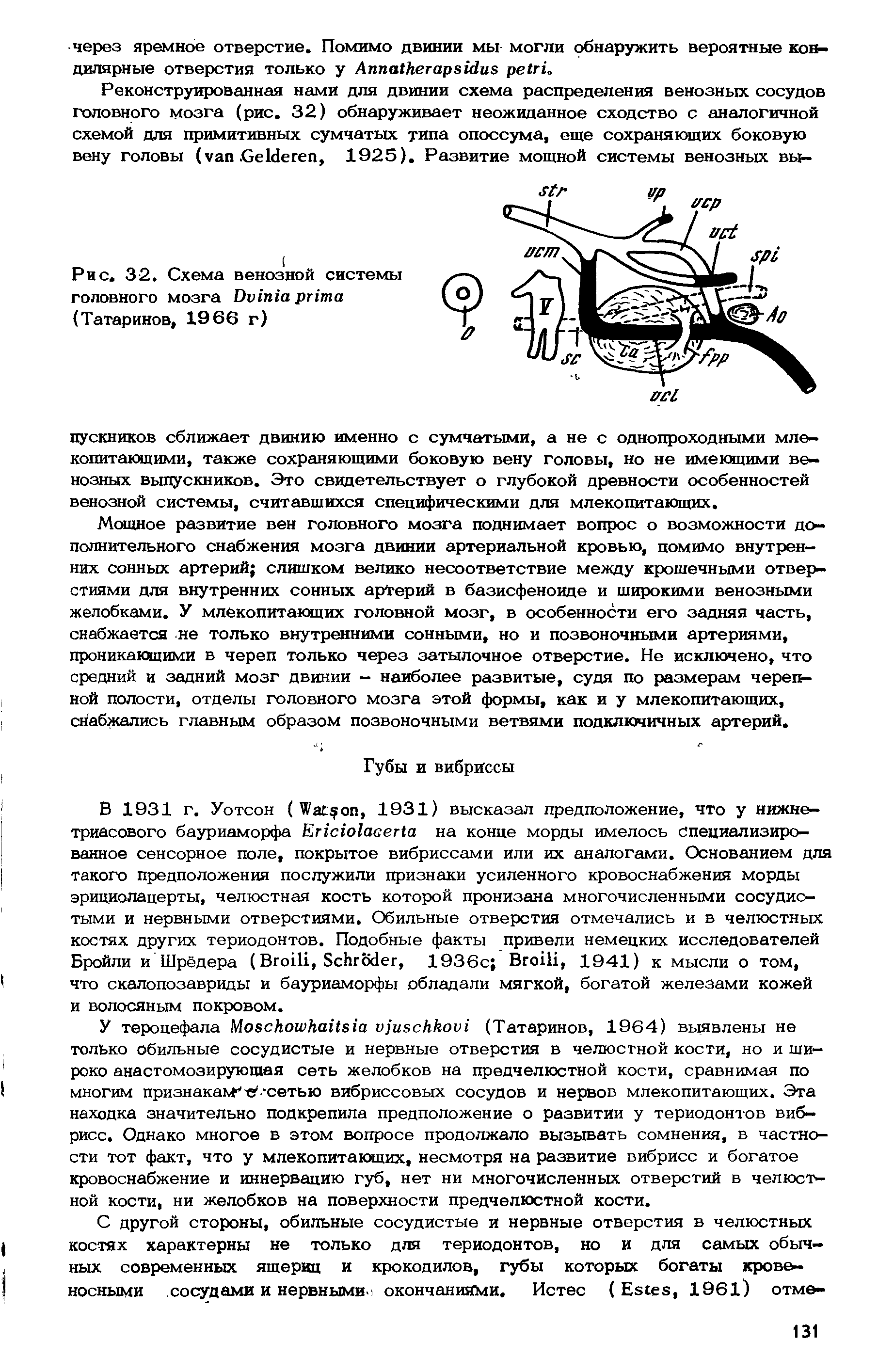 Рис. 32. Схема венозной системы головного мозга D (Татаринов, 1966 г)...