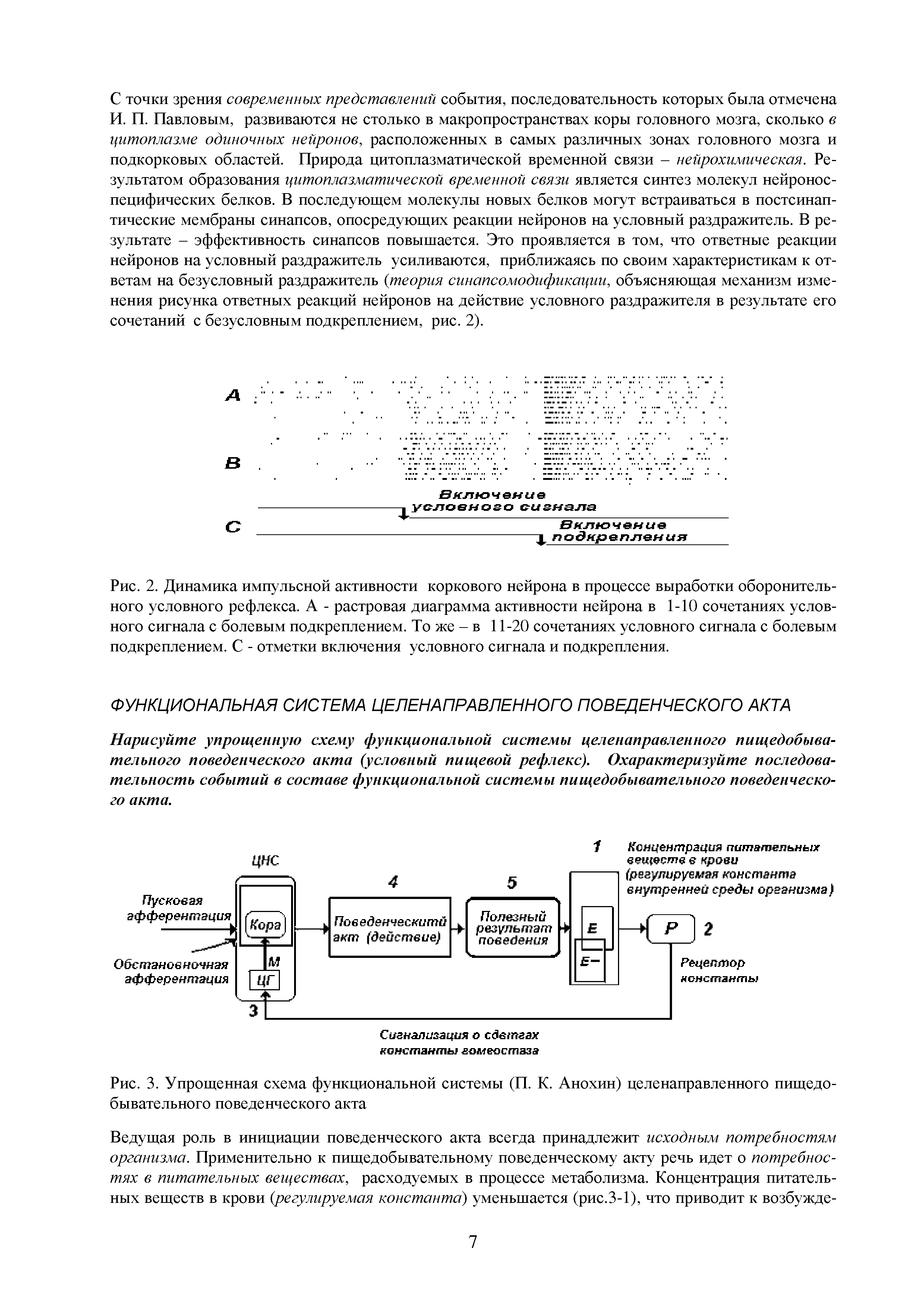 Рис. 3. Упрощенная схема функциональной системы (П. К. Анохин) целенаправленного пищедобывательного поведенческого акта...
