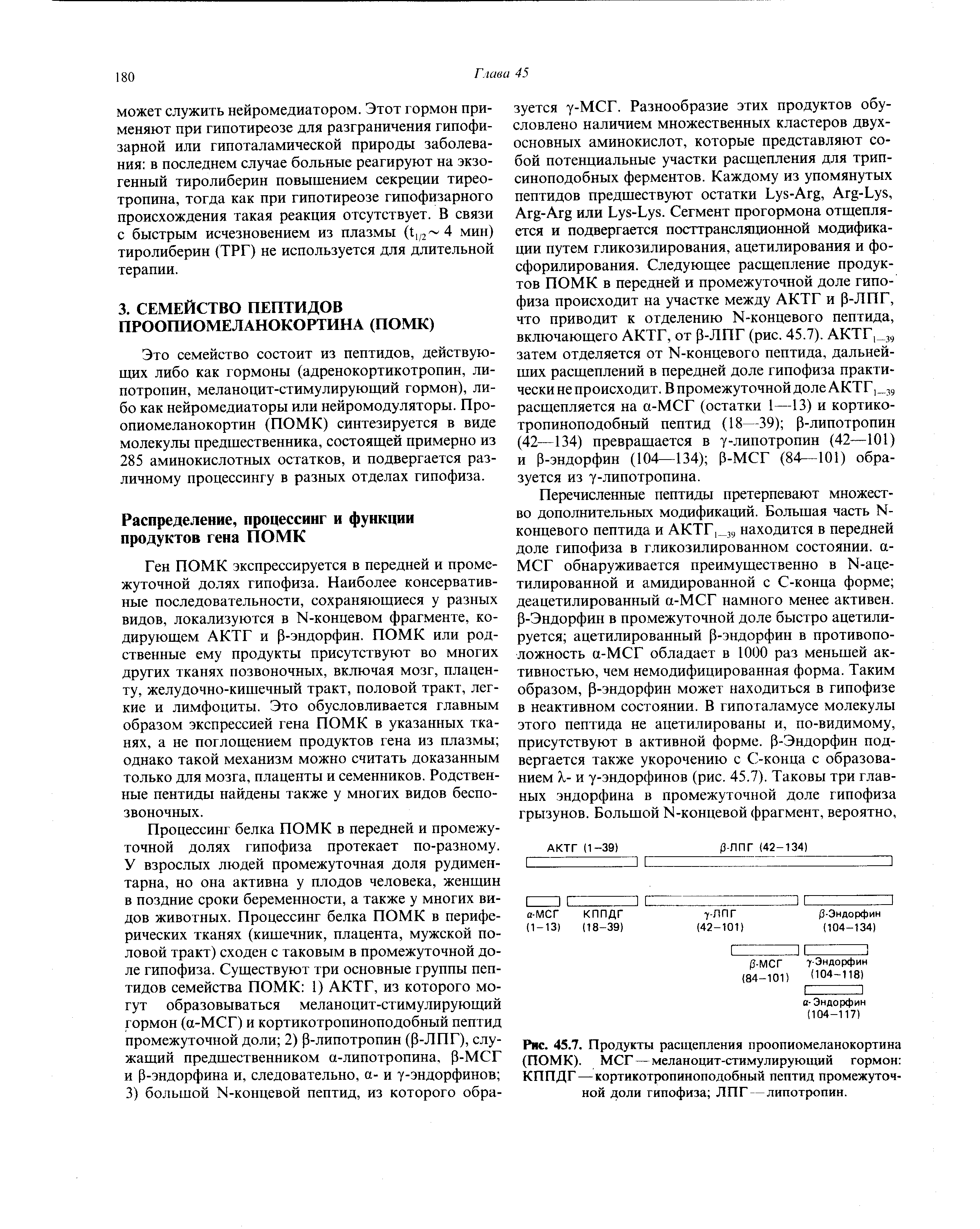 Рис. 45.7. Продукты расщепления проопиомеланокортина (ПОМК). МСГ — меланоцит-стимулирующий гормон КППДГ—кортикотропиноподобный пептид промежуточной доли гипофиза ЛПГ—липотропин.