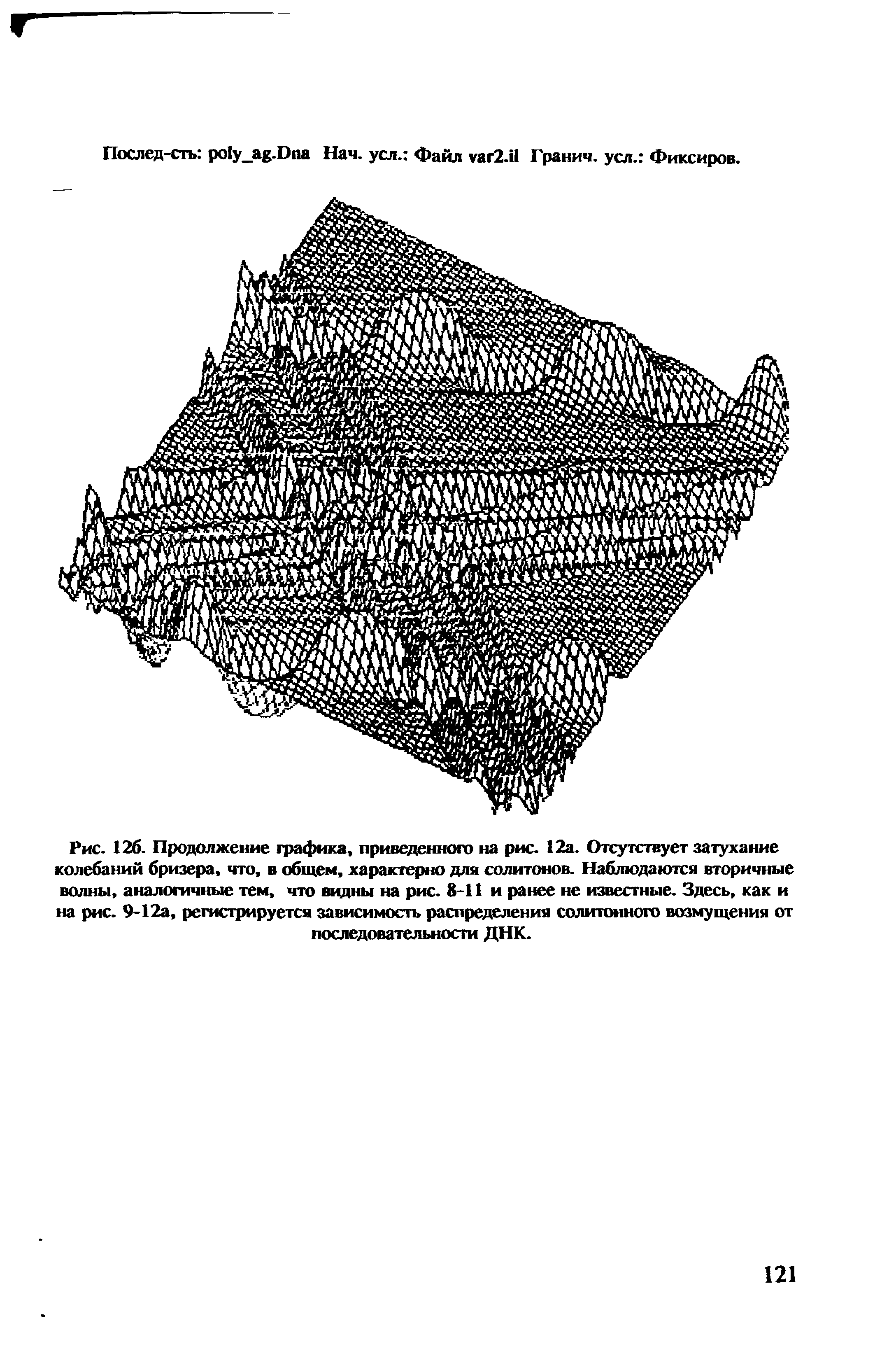 Рис. 126. Продолжение графика, приведенного на рис. 12а. Отсутствует затухание колебаний бризера, что, в общем, характерно для солитонов. Наблюдаются вторичные волны, аналогичные тем, что видны на рис. 8-11 и ранее не известные. Здесь, как и на рис. 9-12а, регистрируется зависимость распределения солитонного возмущения от последовательности ДНК.