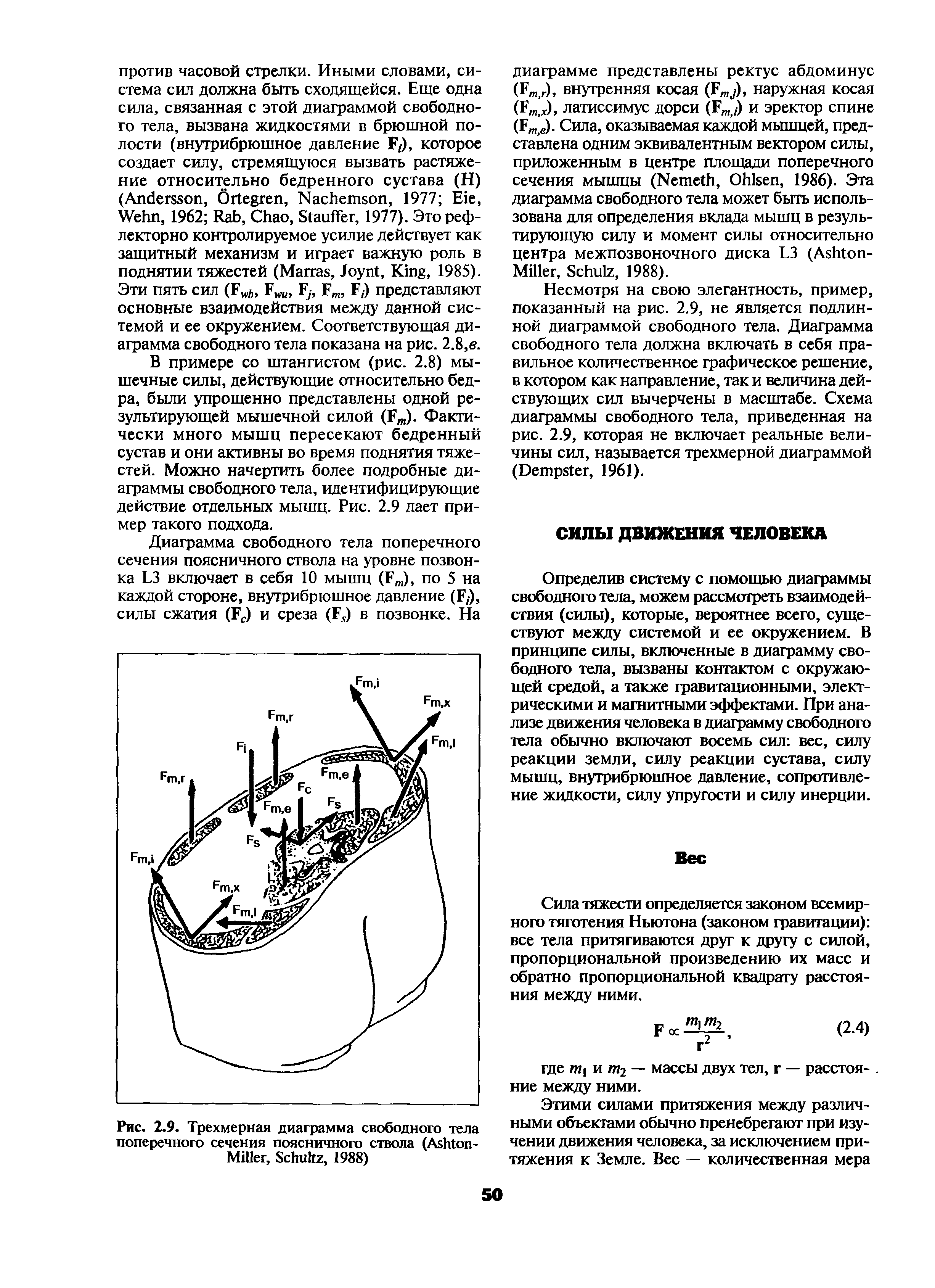 Рис. 2.9. Трехмерная диаграмма свободного тела поперечного сечения поясничного ствола (A -M , S , 1988)...