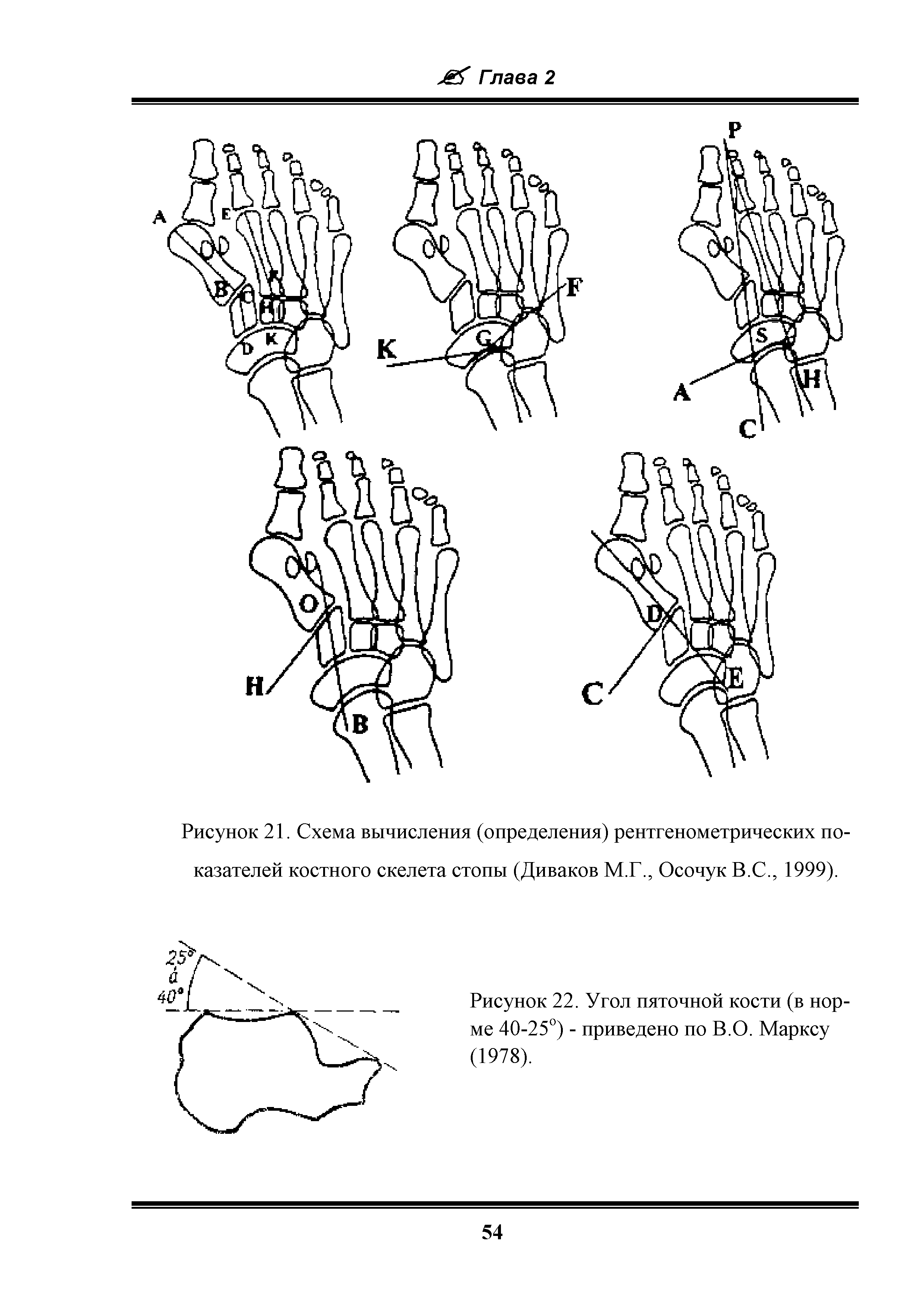 Рисунок 21. Схема вычисления (определения) рентгенометрических показателей костного скелета стопы (Диваков М.Г., Осочук В.С., 1999).