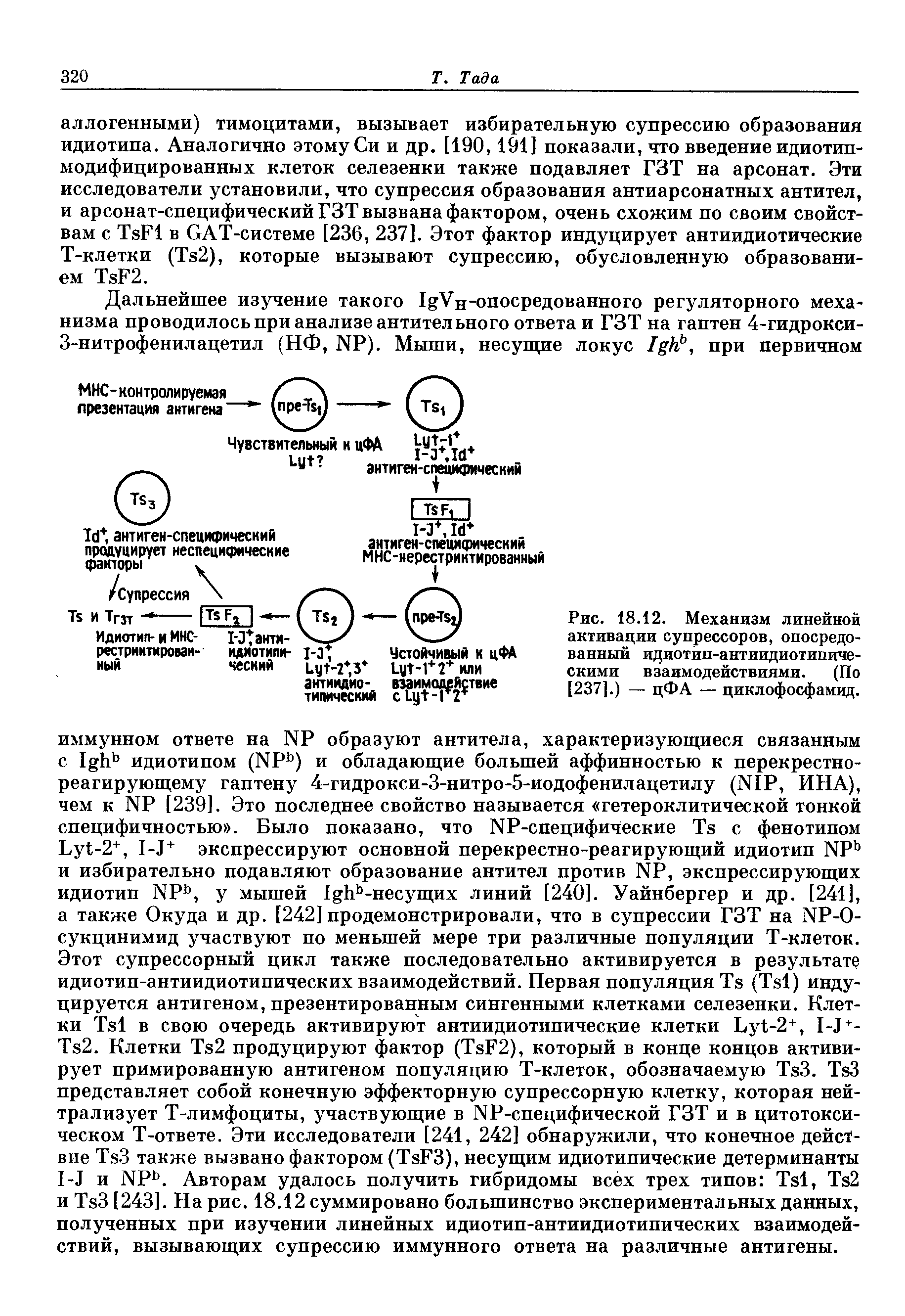 Рис. 18.12. Механизм линейной активации супрессоров, опосредованный идиотип-антиидиотипиче-скими взаимодействиями. (По [237].) — цФА — циклофосфамид.