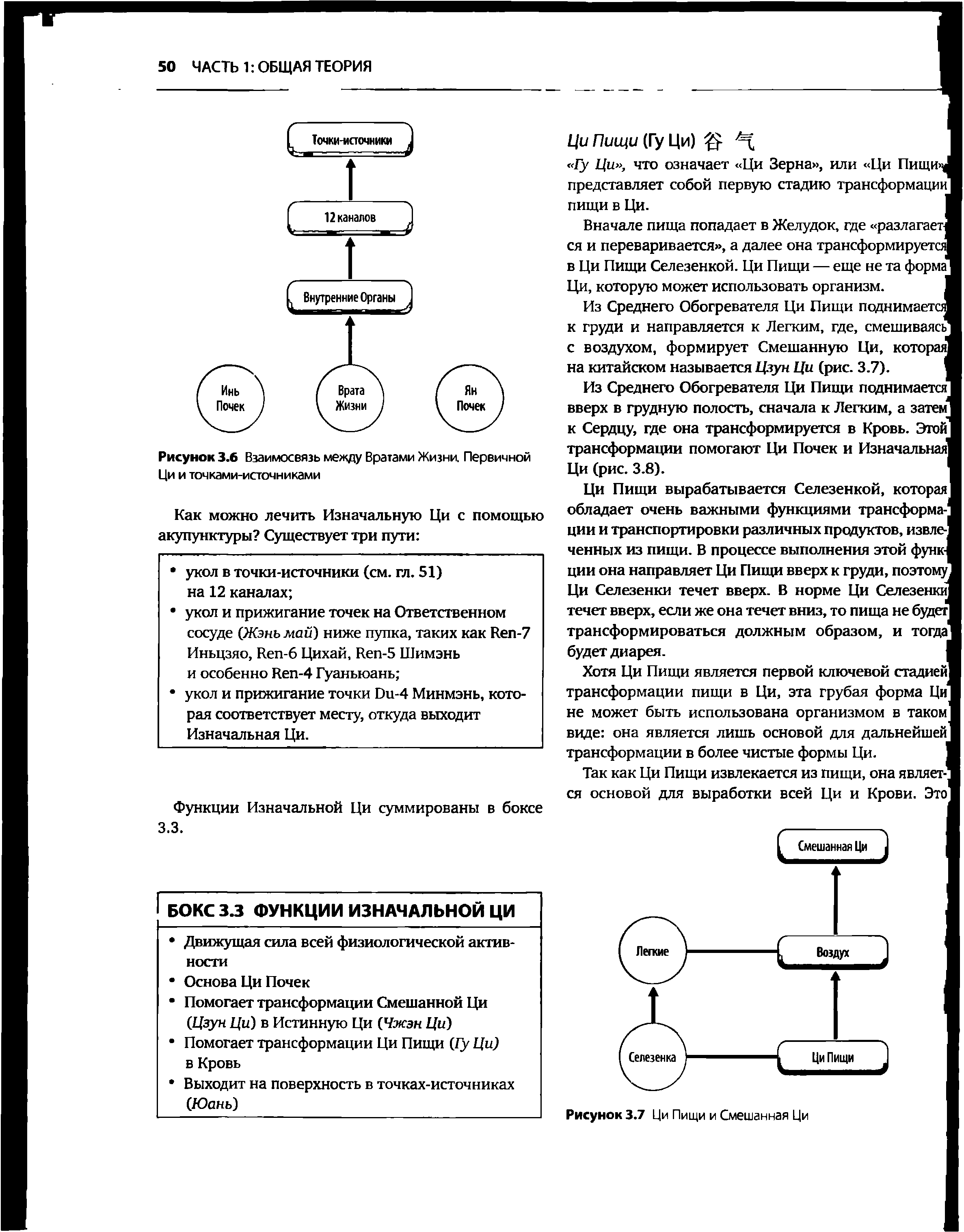 Рисунок 3.6 Взаимосвязь между Вратами Жизни. Первичной Ци и точками-источниками...