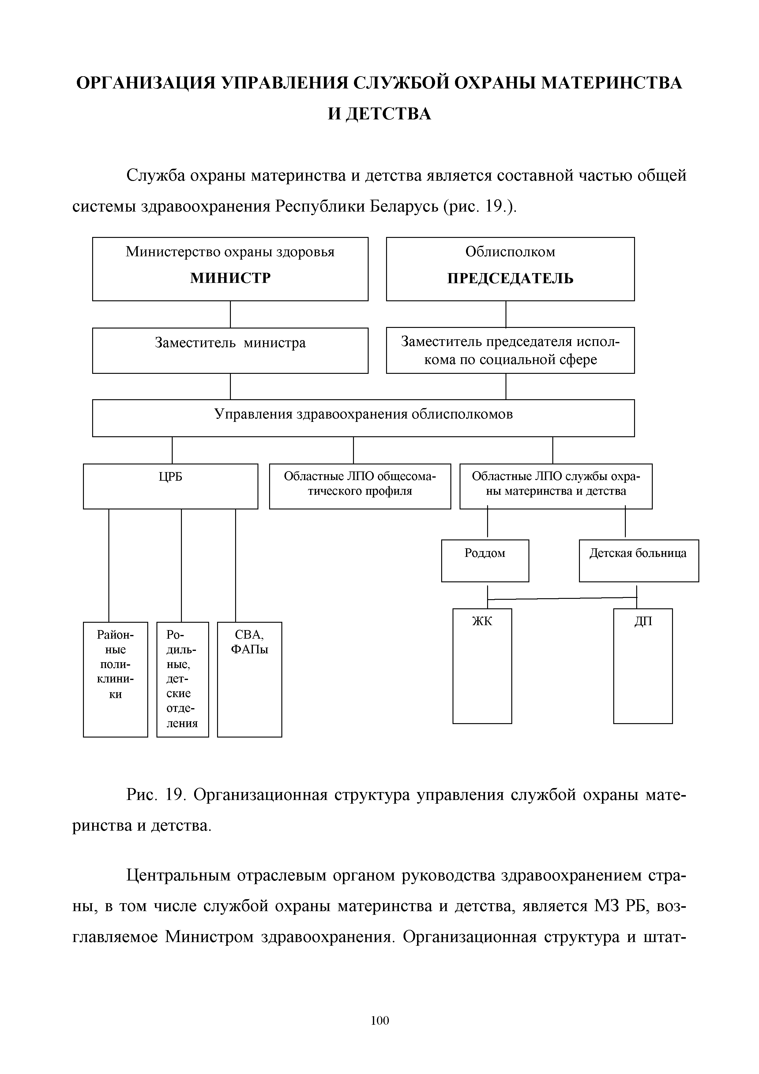 Рис. 19. Организационная структура управления службой охраны материнства и детства.