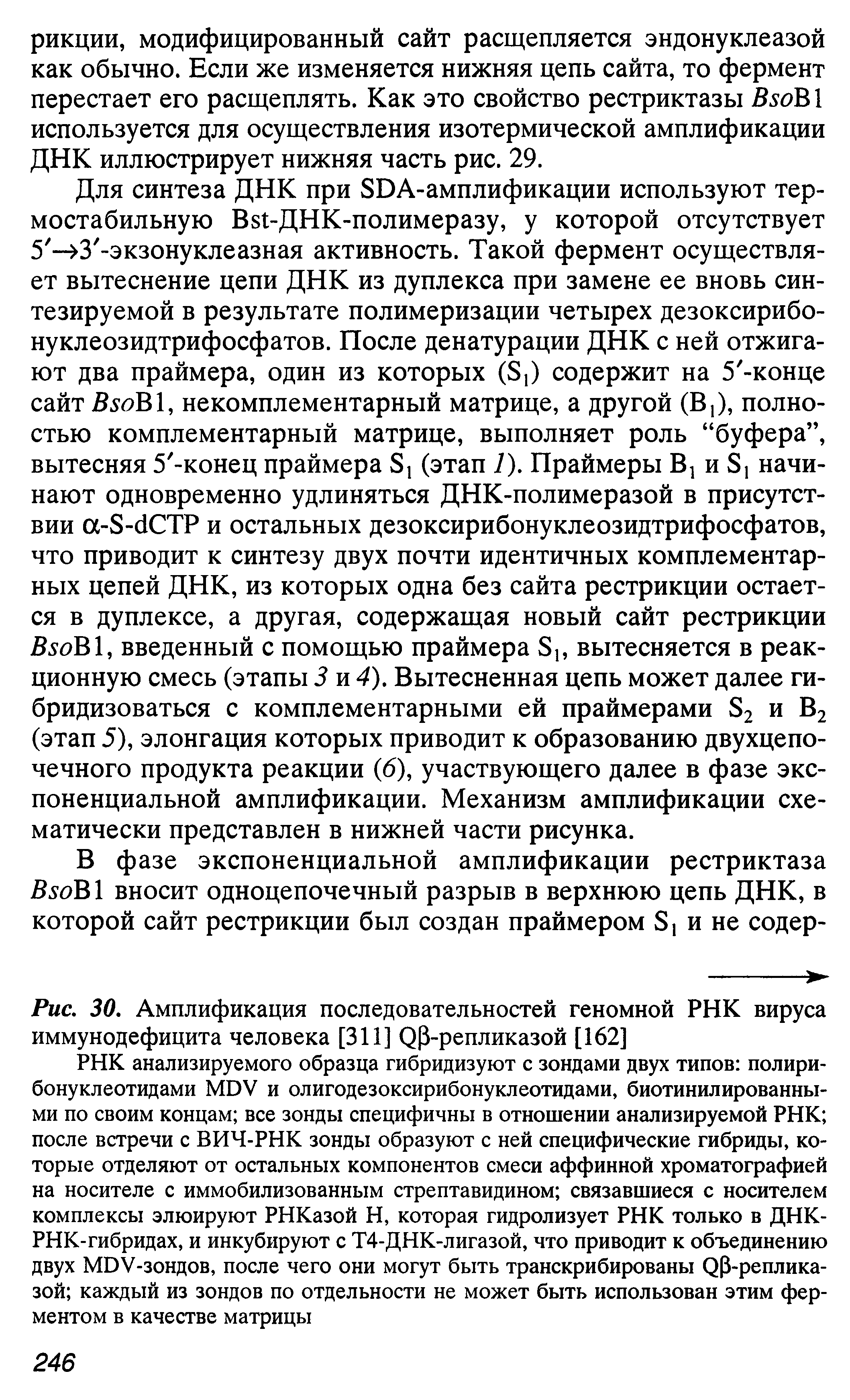 Рис. 30. Амплификация последовательностей геномной РНК вируса иммунодефицита человека [311] Ор-репликазой [162]...