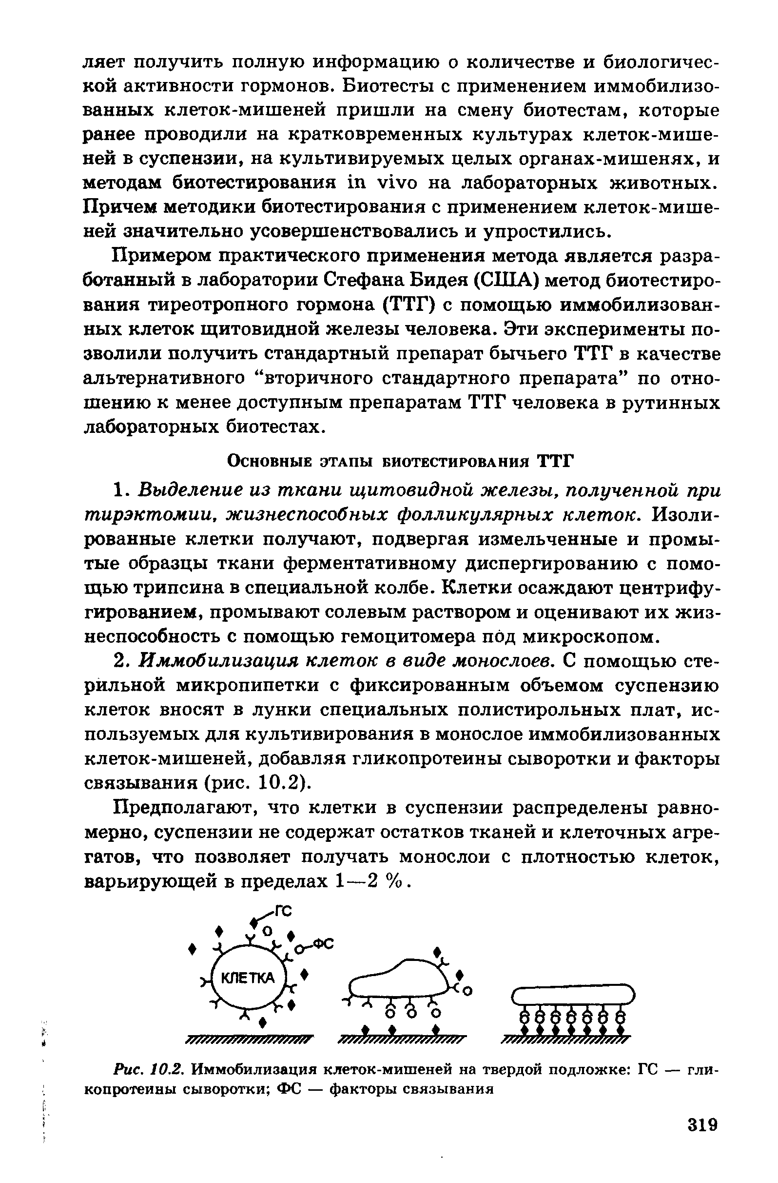 Рис. 10.2. Иммобилизация клеток-мишеней на твердой подложке ГС — гликопротеины сыворотки ФС — факторы связывания...