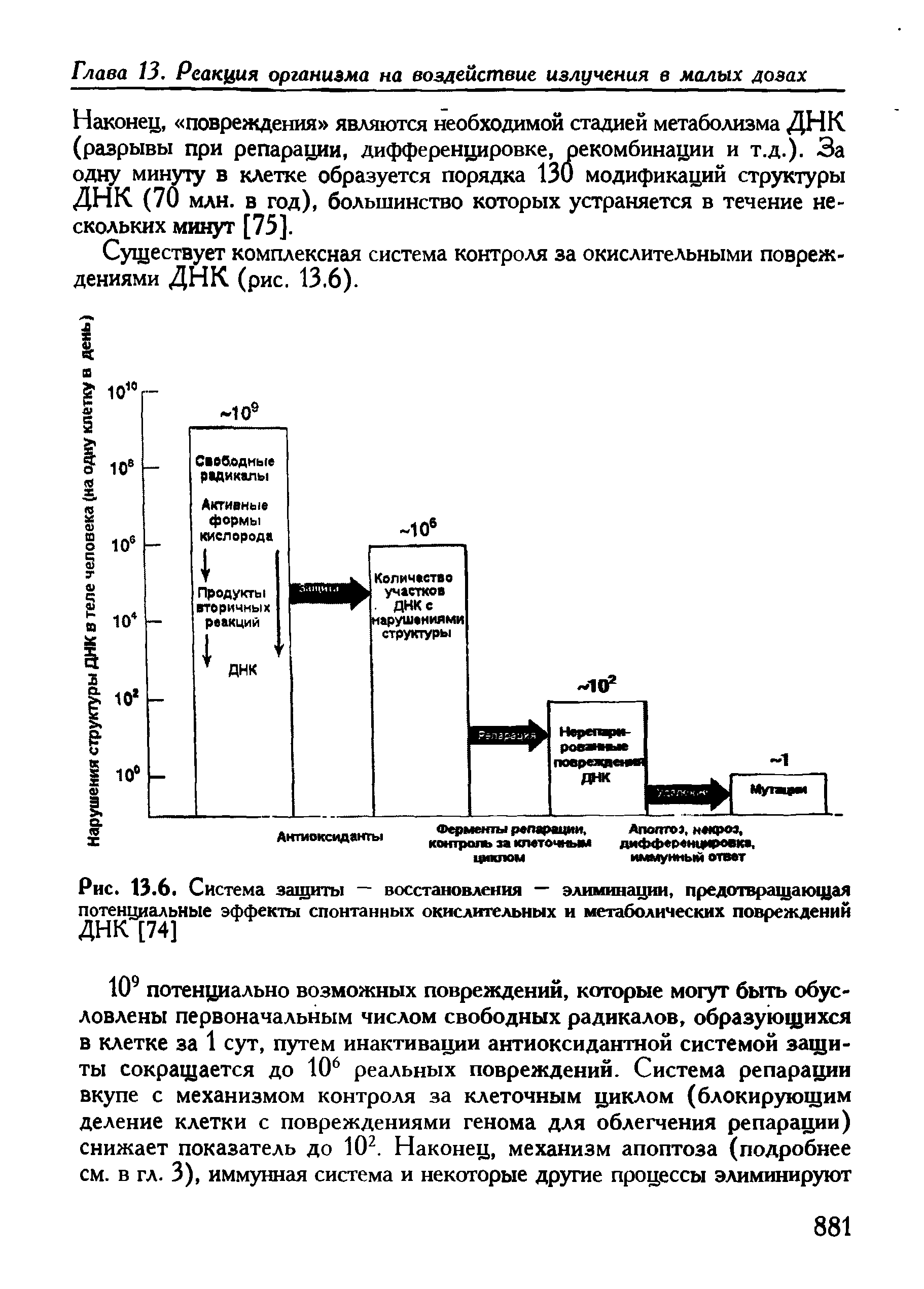 Рис. 13.6. Система защиты — восстановления — элиминации, предотвращающая потенциальные эффекты спонтанных окислительных и метаболических повреждении ДНК [74]...