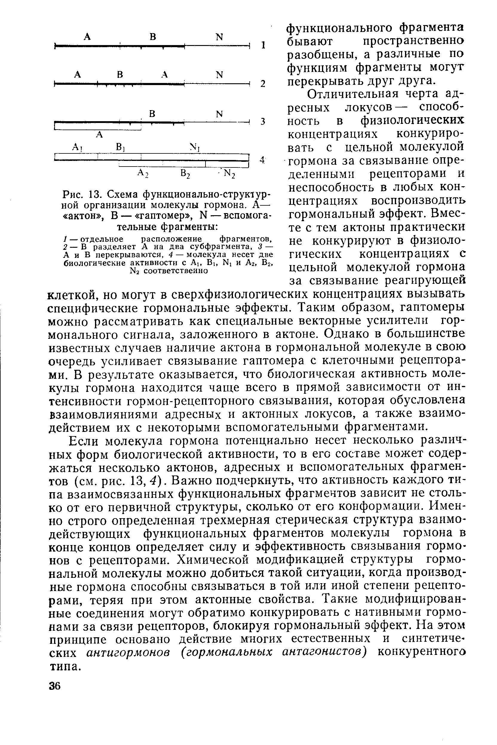 Рис. 13. Схема функционально-структурной организации молекулы гормона. А— актон , В — гаптомер , N — вспомогательные фрагменты ...