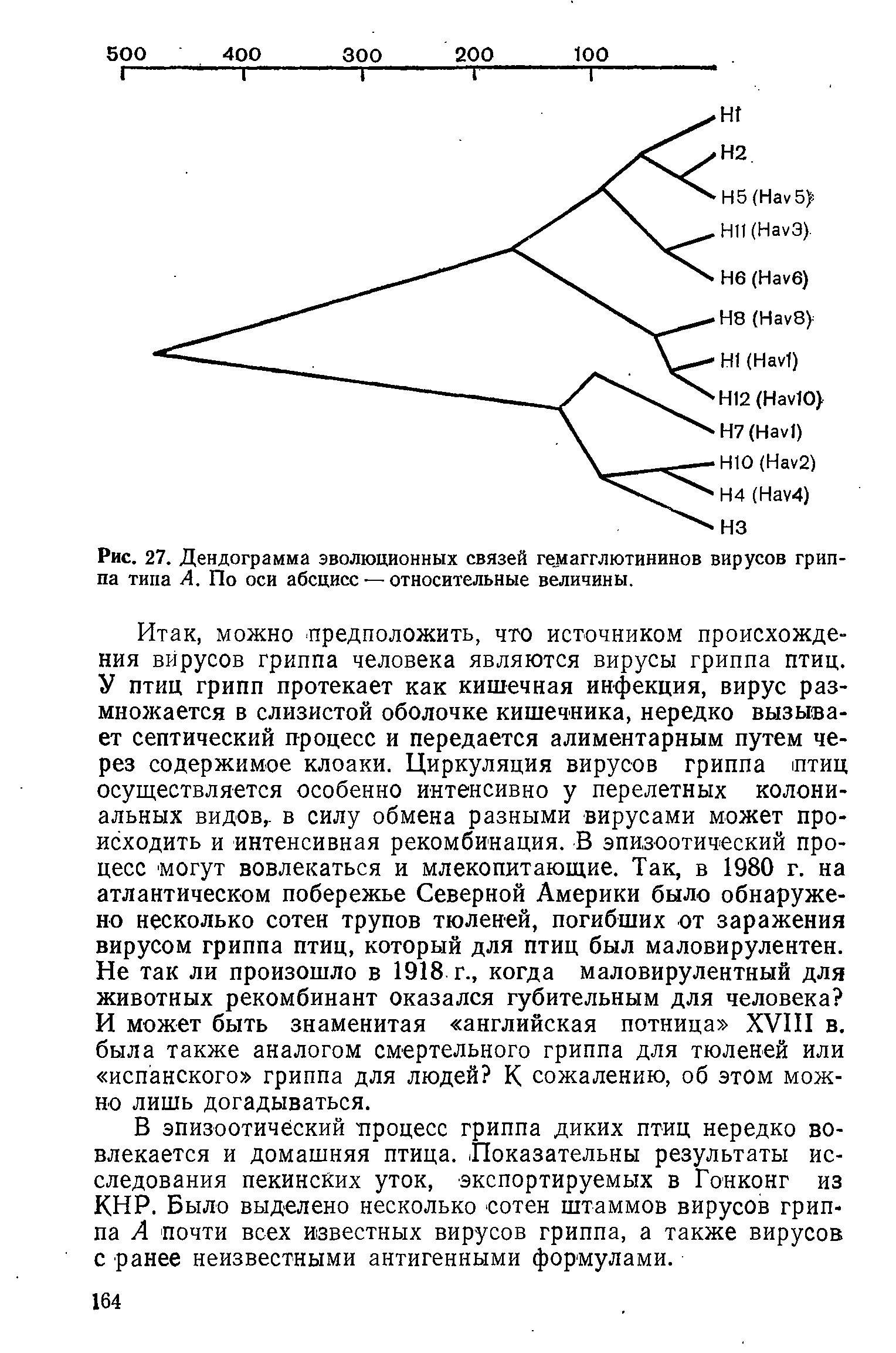 Рис. 27. Дендограмма эволюционных связей гемагглютининов вирусов гриппа типа А. По оси абсцисс — относительные величины.