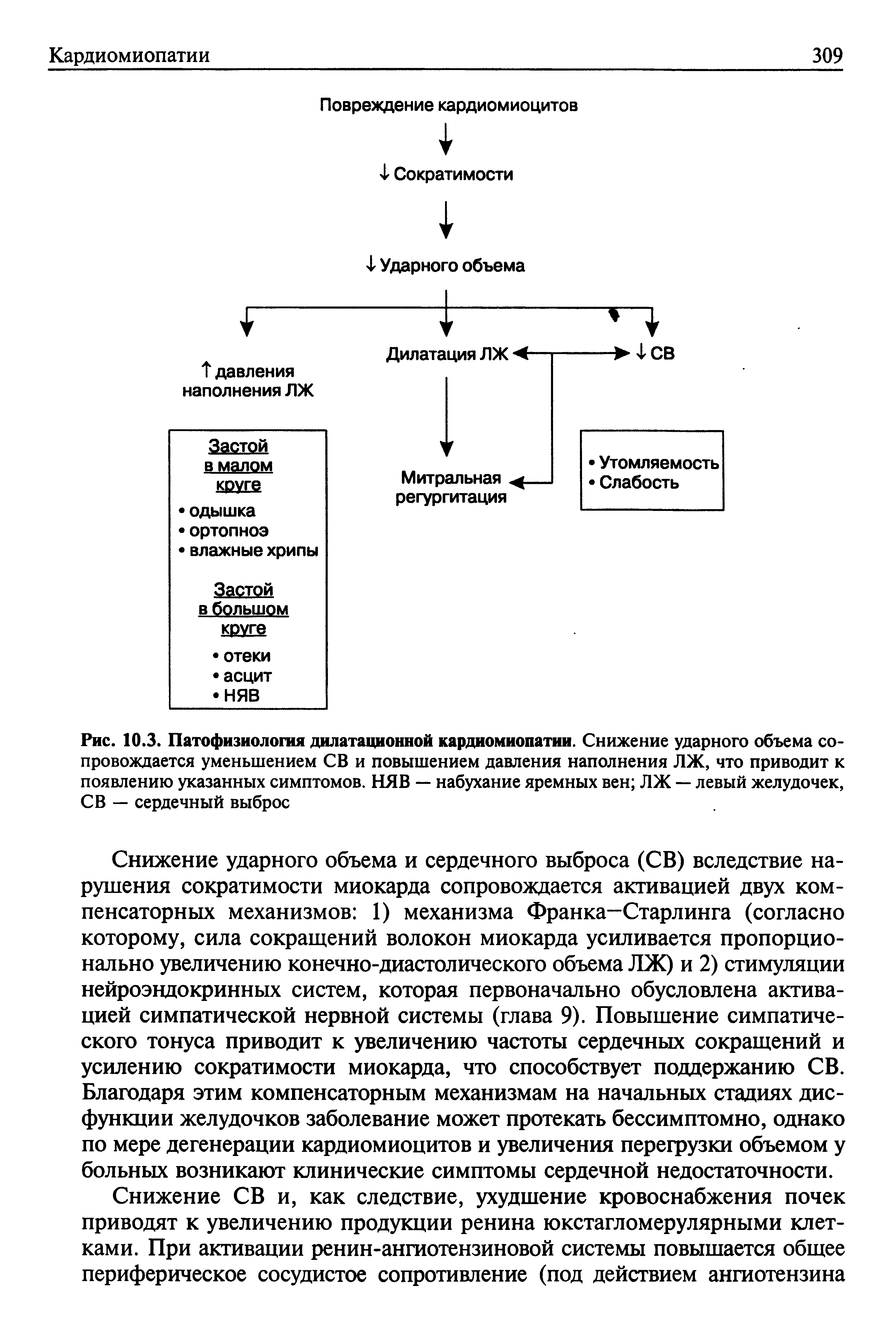 Рис. 10.3. Патофизиология дилатационной кардиомиопатии. Снижение ударного объема сопровождается уменьшением СВ и повышением давления наполнения ЛЖ, что приводит к появлению указанных симптомов. НЯВ — набухание яремных вен ЛЖ — левый желудочек, СВ — сердечный выброс...