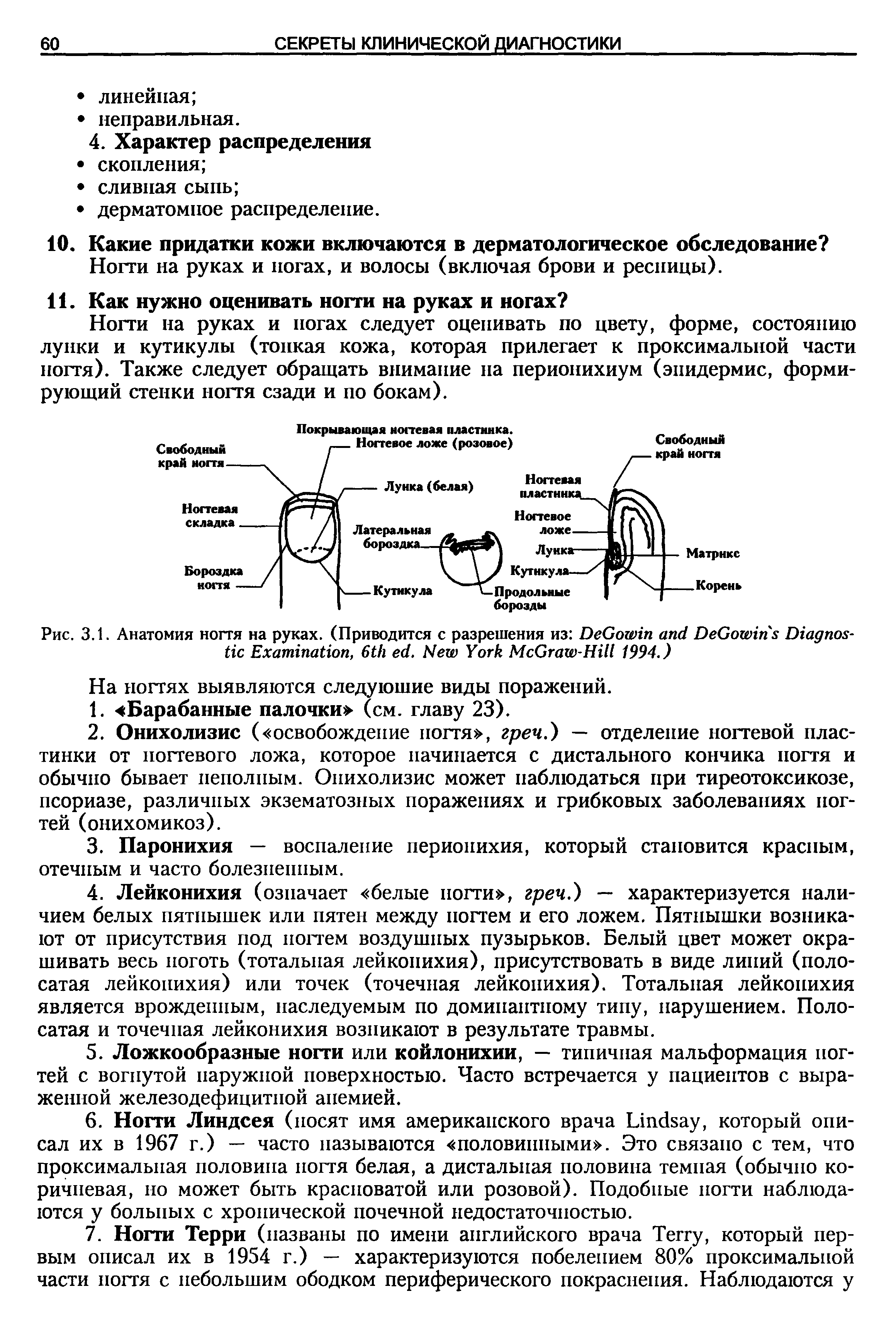 Рис. 3.1. Анатомия ногтя на руках. (Приводится с разрешения из D G D G D E , 6 . N Y M G -H 1994.)...