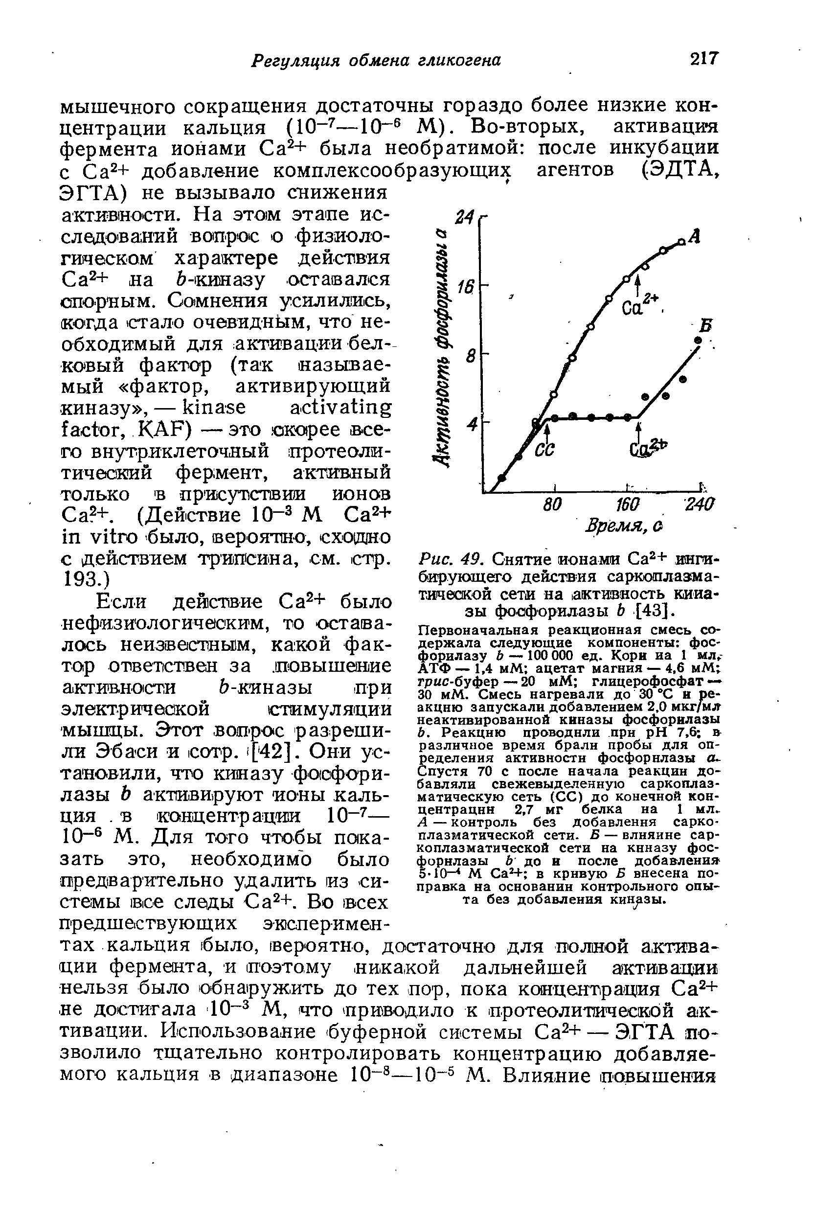 Рис. 49. Снятие ионами Са2+ ингибирующего действия саркоплазматической сети на активность киназы фосфорилазы Ь [43].