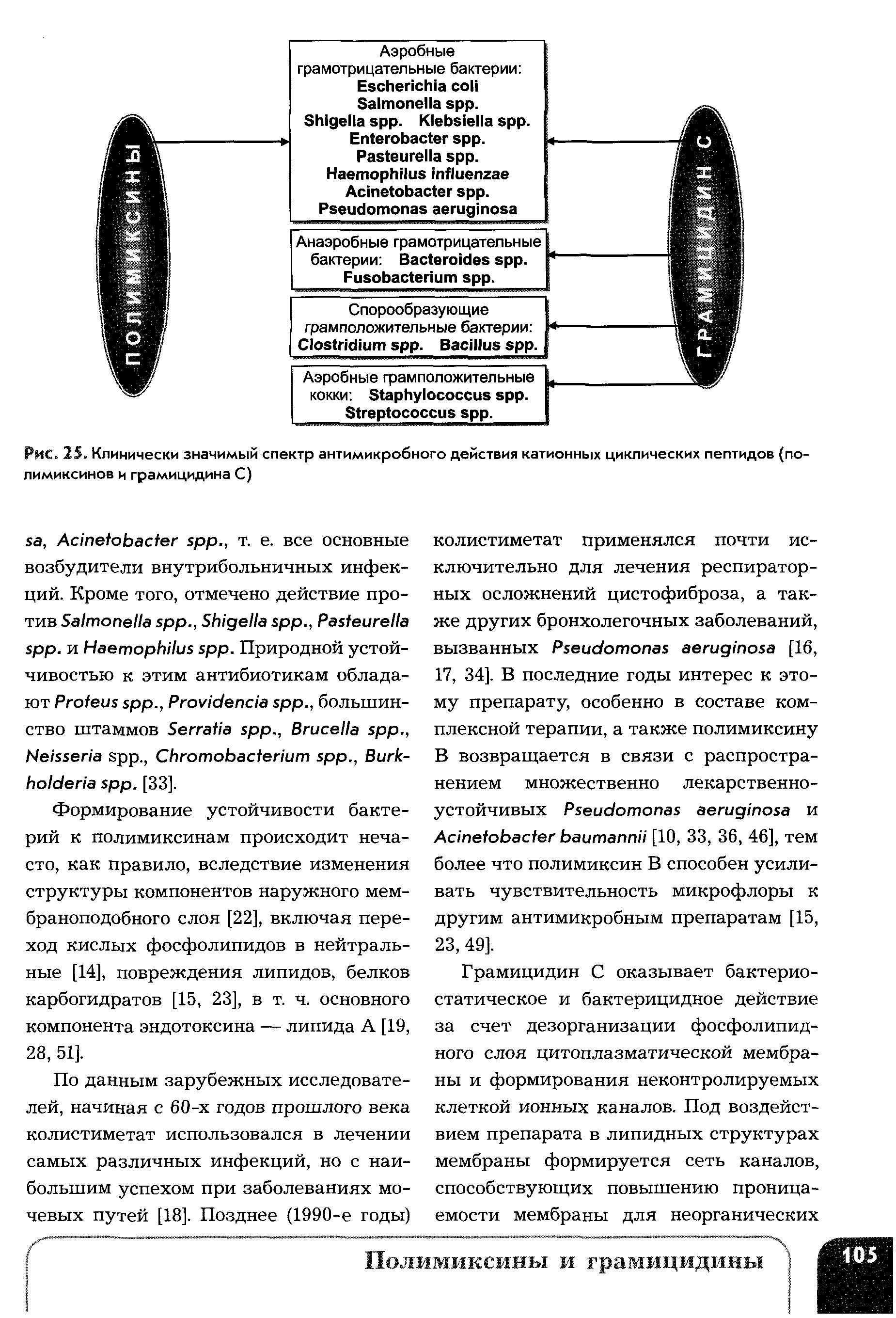 Рис. 25. Клинически значимый спектр антимикробного действия катионных циклических пептидов (полимиксинов и грамицидина С)...