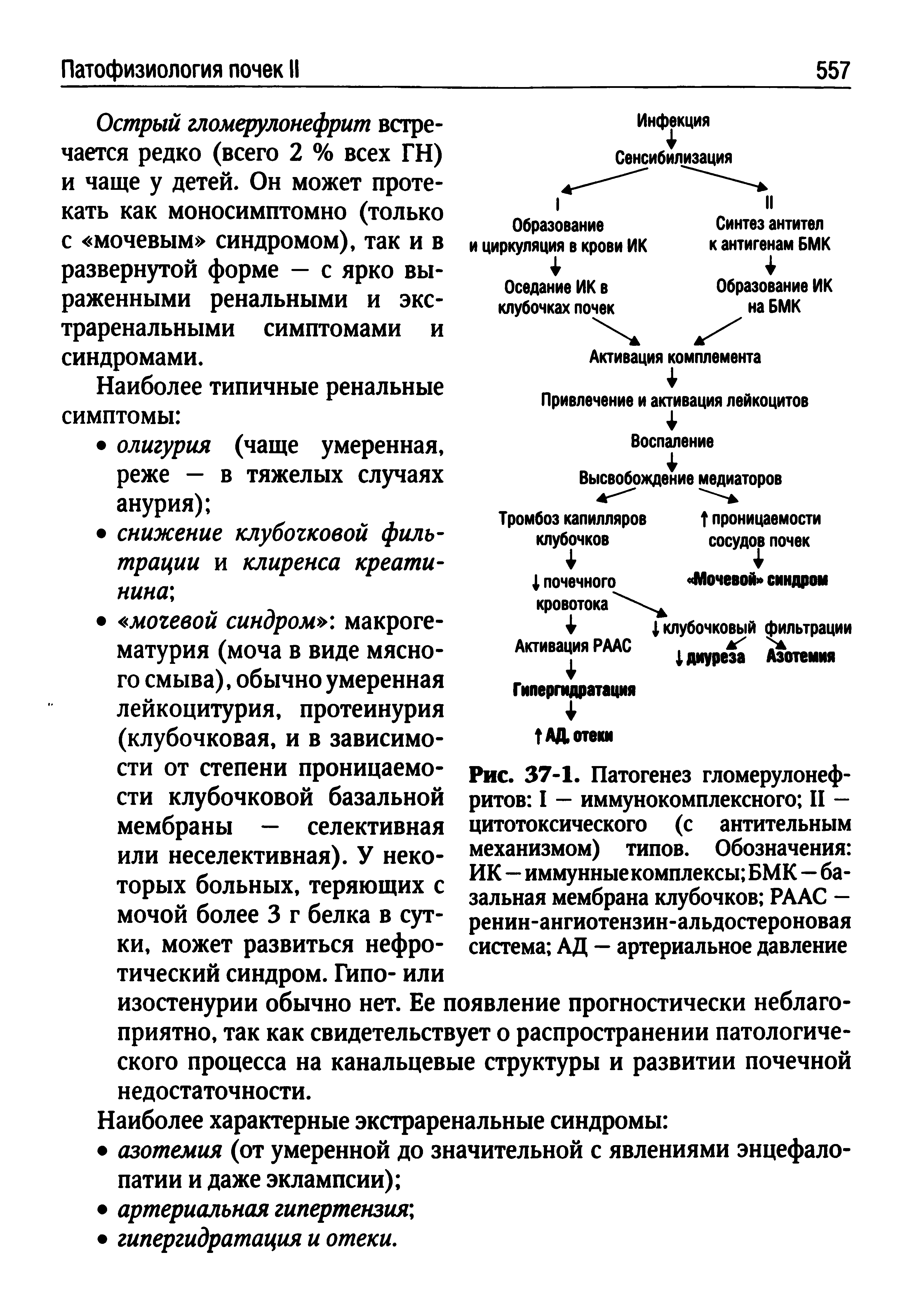 Рис. 37-1. Патогенез гломерулонеф-ритов I — иммунокомплексного II — цитотоксического (с антительным механизмом) типов. Обозначения ИК—иммунныекомплексы БМК—базальная мембрана клубочков РААС -ренин-ангиотензин-альдостероновая система АД — артериальное давление...