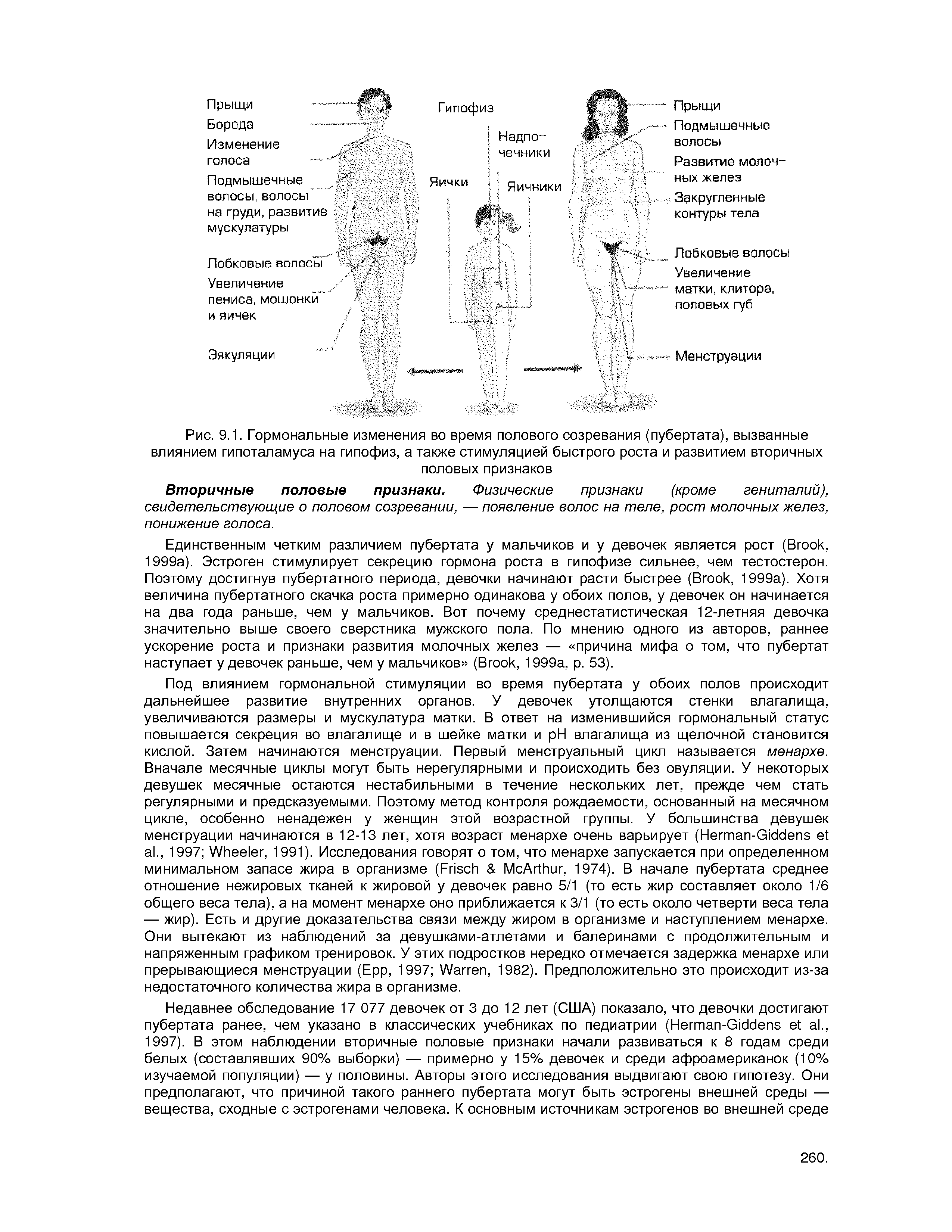 Рис. 9.1. Гормональные изменения во время полового созревания (пубертата), вызванные влиянием гипоталамуса на гипофиз, а также стимуляцией быстрого роста и развитием вторичных половых признаков...