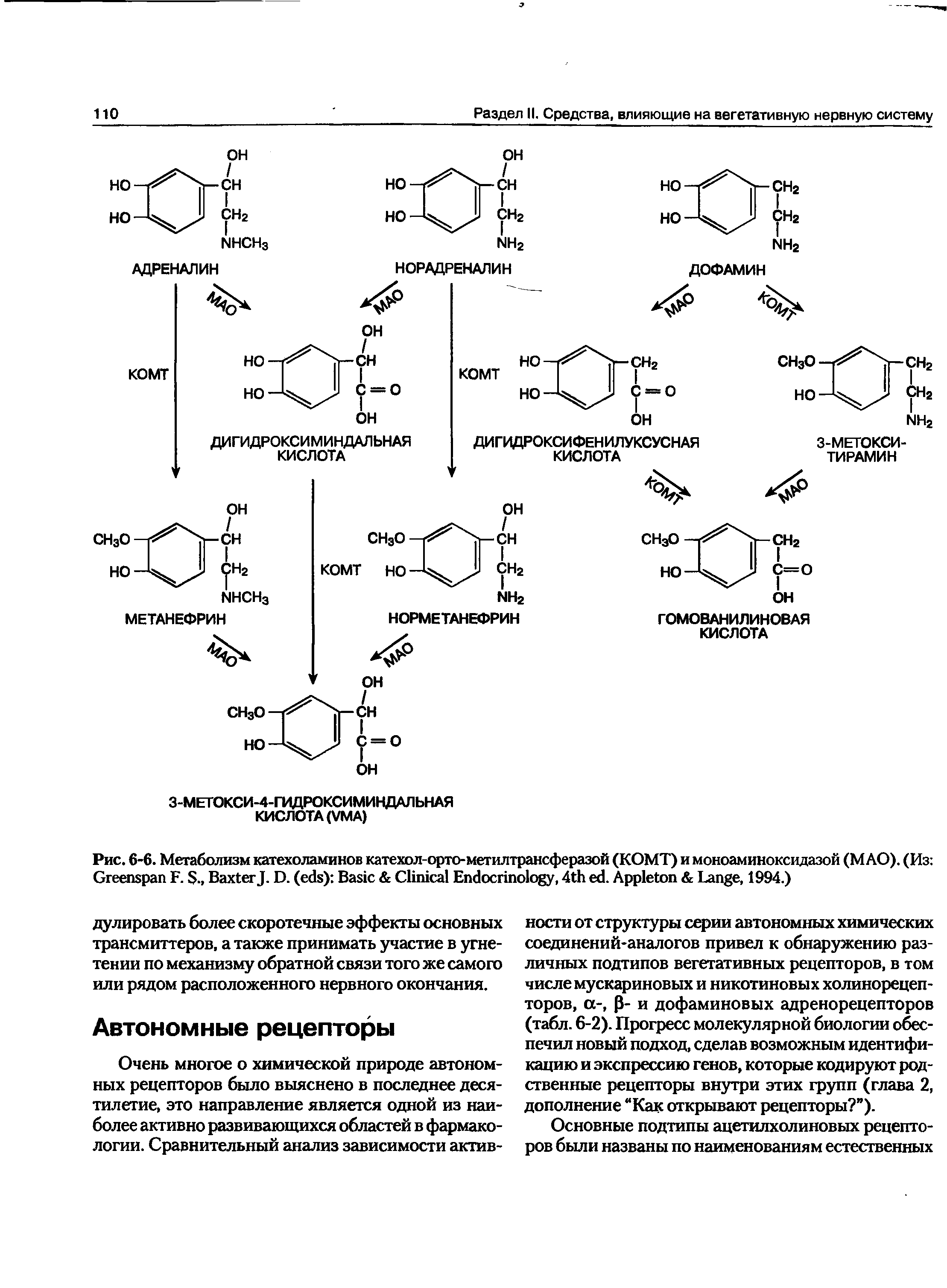 Рис. 6-6. Метаболизм катехоламинов катехол-орто-метилтрансферазой (КОМТ) и моноаминоксидазой (МАО). (Из G F.., B J. D. ( ) B C E , 4 . A L , 1994.)...