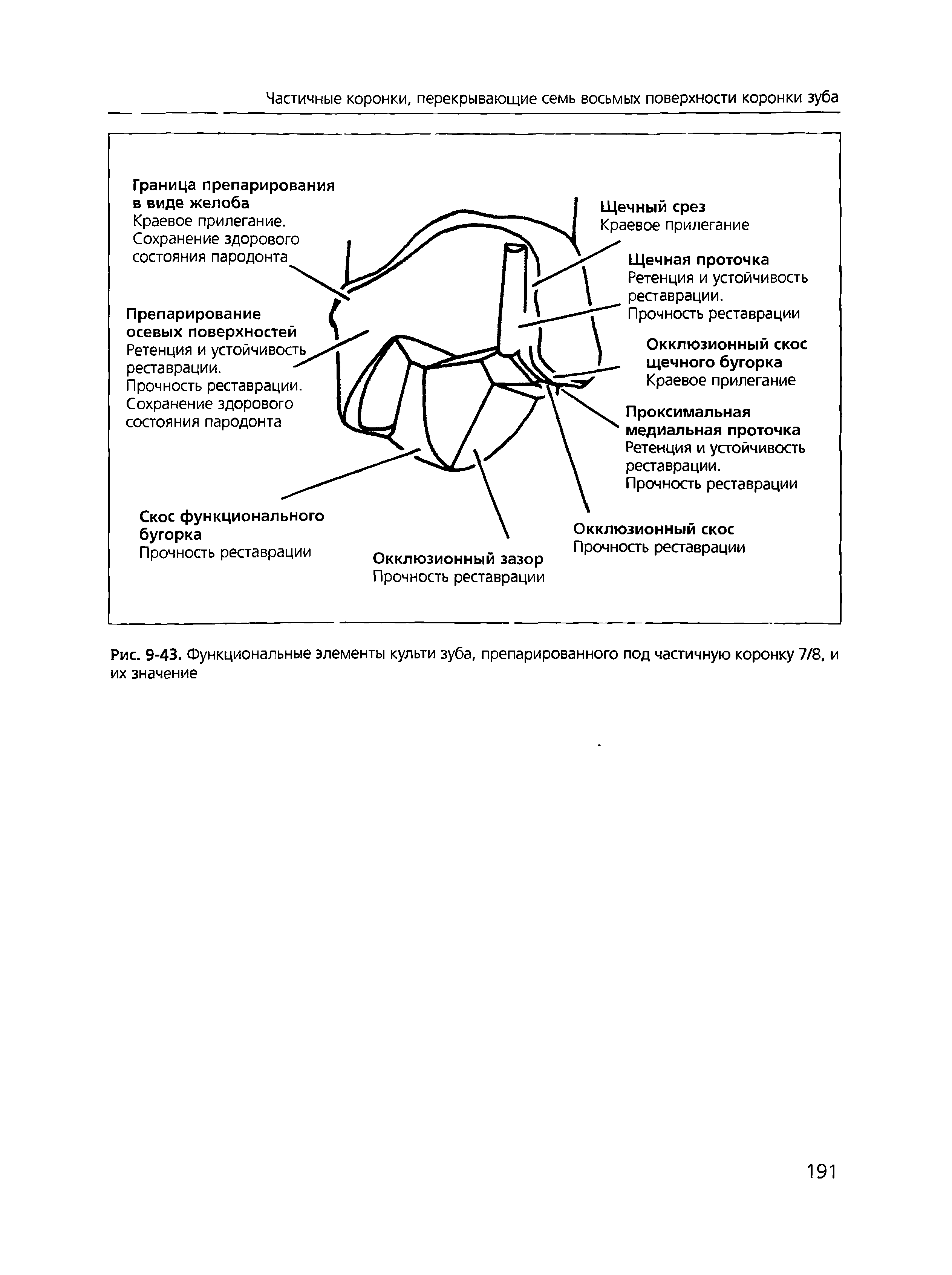 Рис. 9-43. Функциональные элементы культи зуба, препарированного под частичную коронку 7/8, и их значение...
