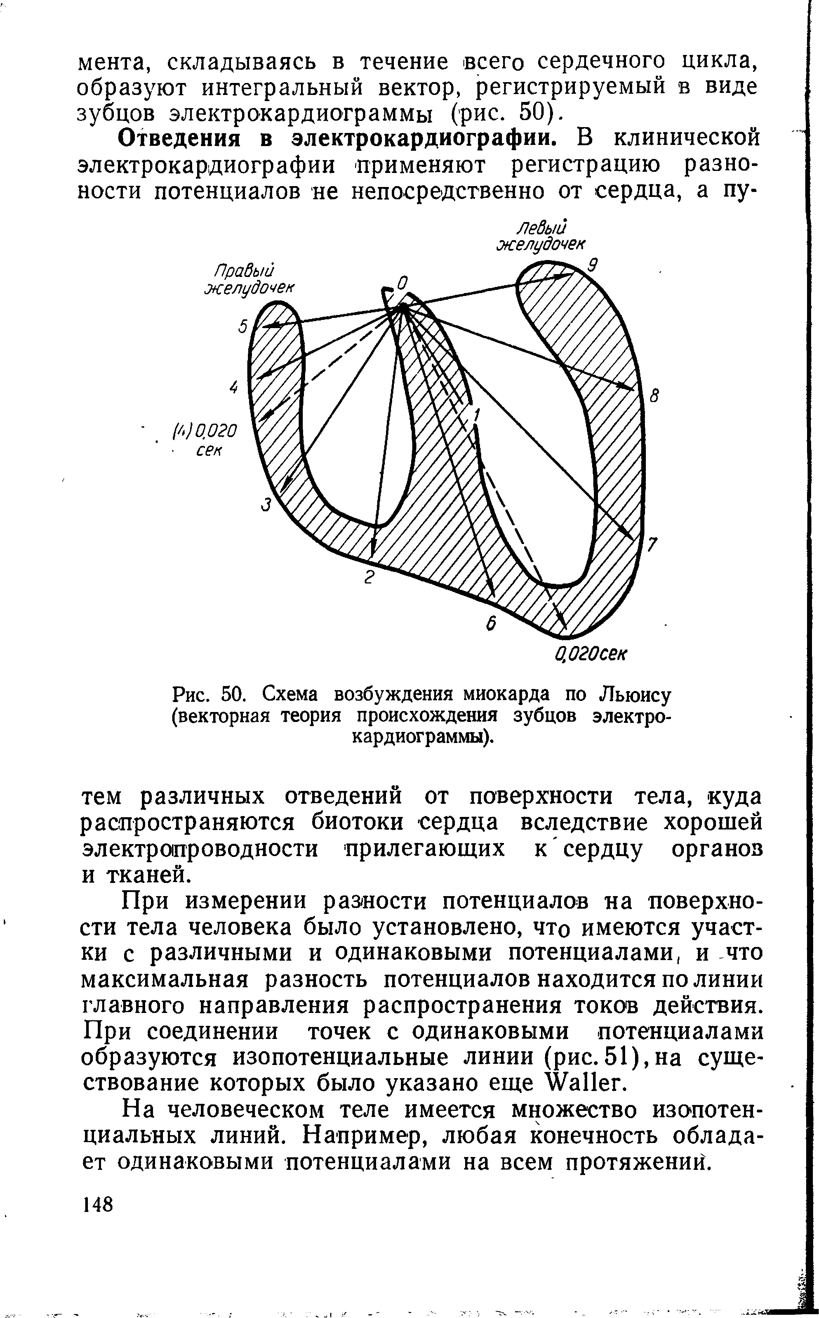 Рис. 50. Схема возбуждения миокарда по Льюису (векторная теория происхождения зубцов электрокардиограммы).