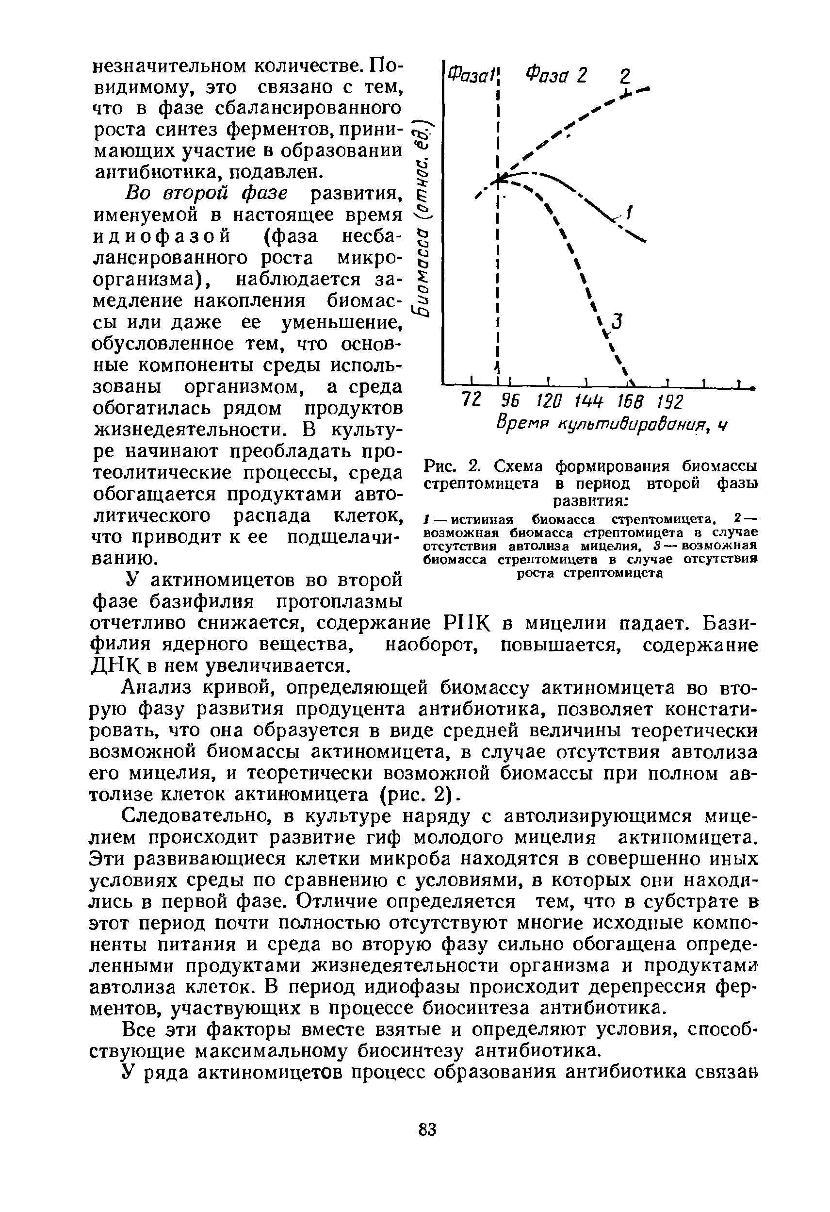 Рис. 2. Схема формирования биомассы стрептомицета в период второй фазы развития ...