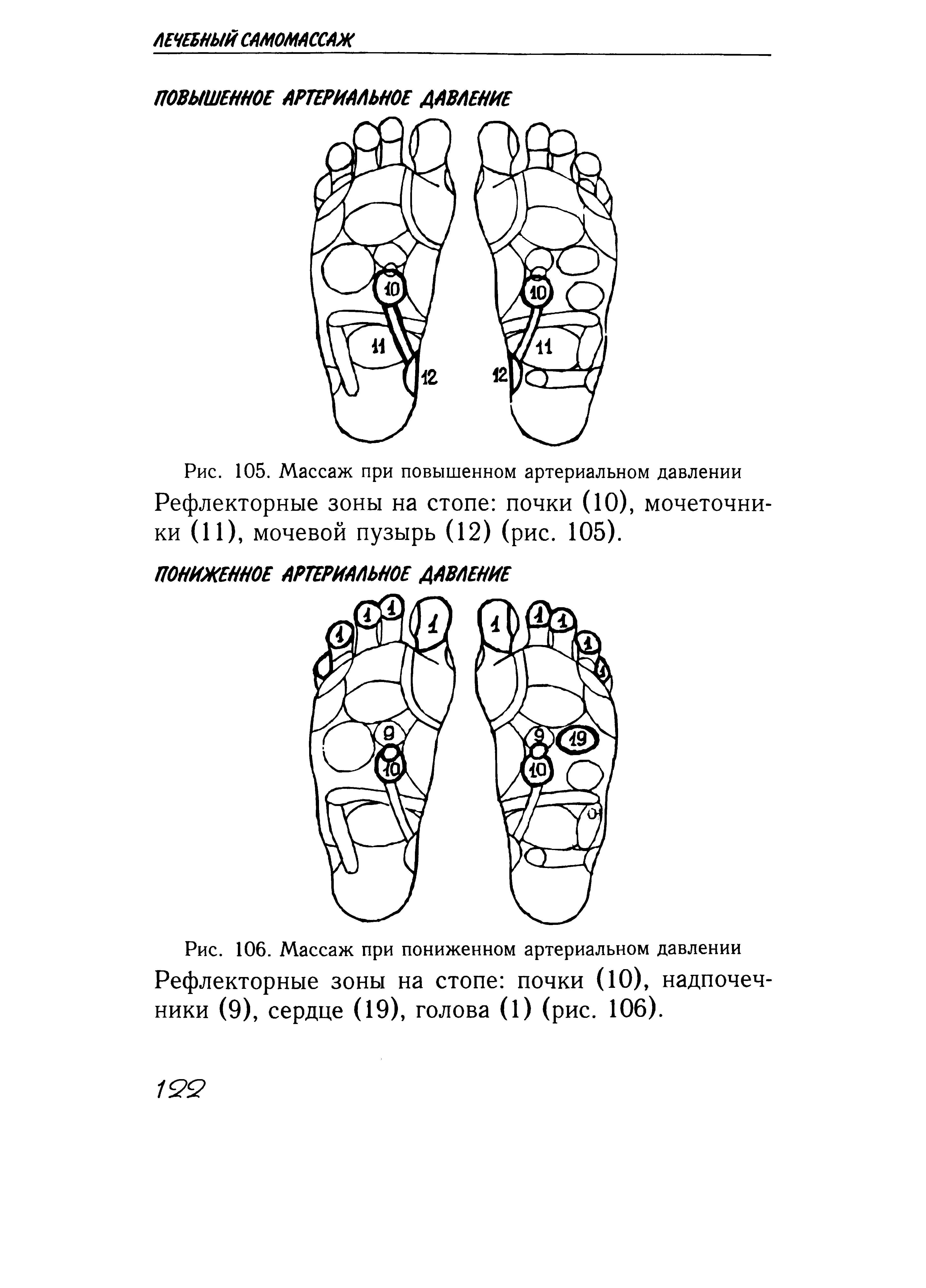 Рис. 105. Массаж при повышенном артериальном давлении Рефлекторные зоны на стопе почки (10), мочеточники (11), мочевой пузырь (12) (рис. 105).